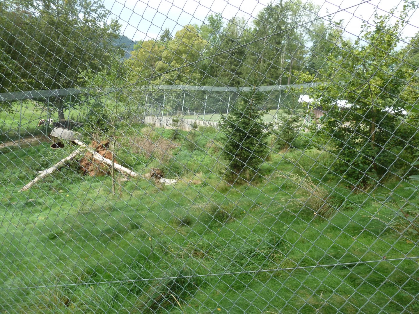 Sikypark Crémines - Northern lynx enclosure