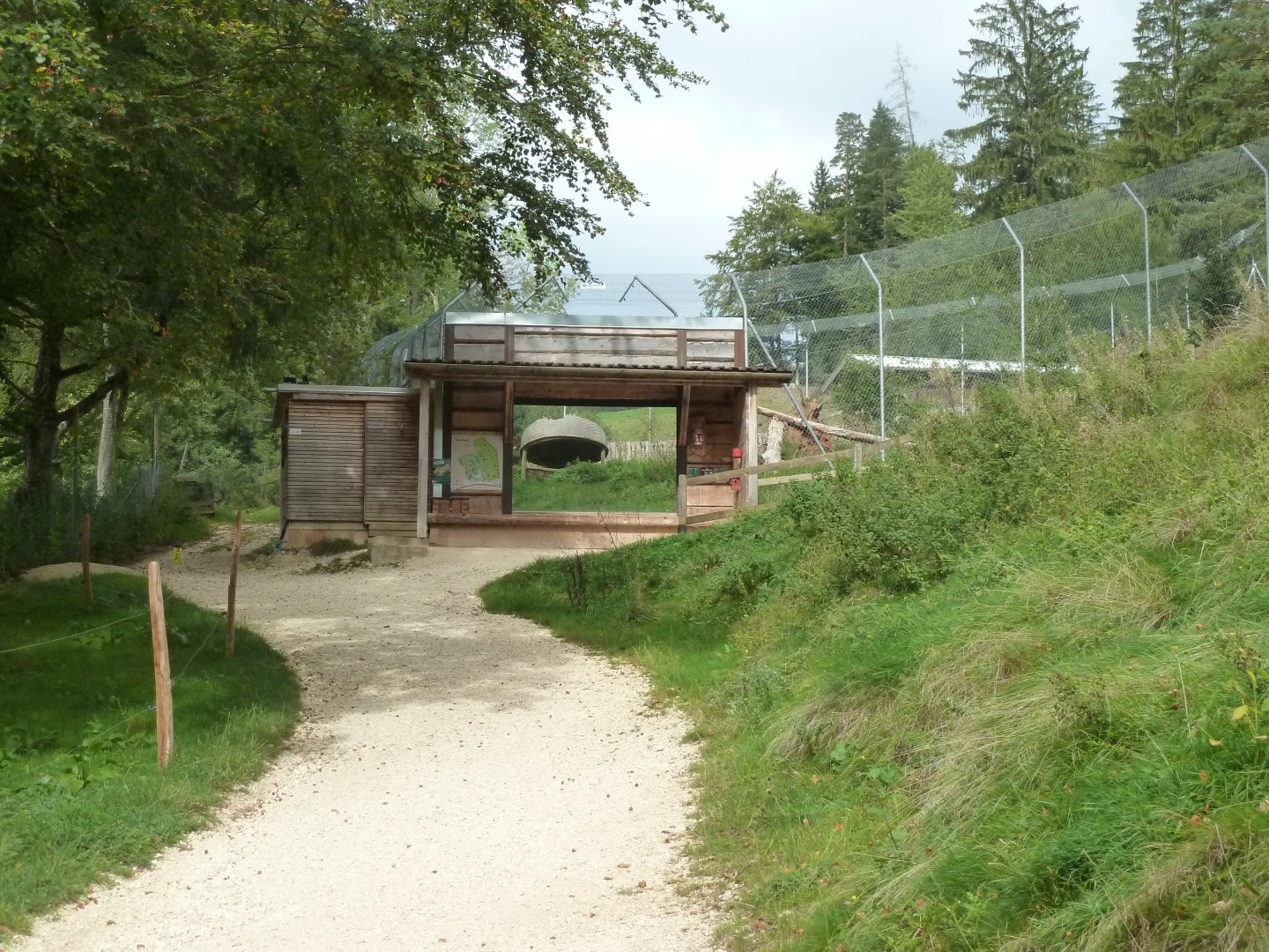 Sikypark Crémines - Northern lynx viewing point