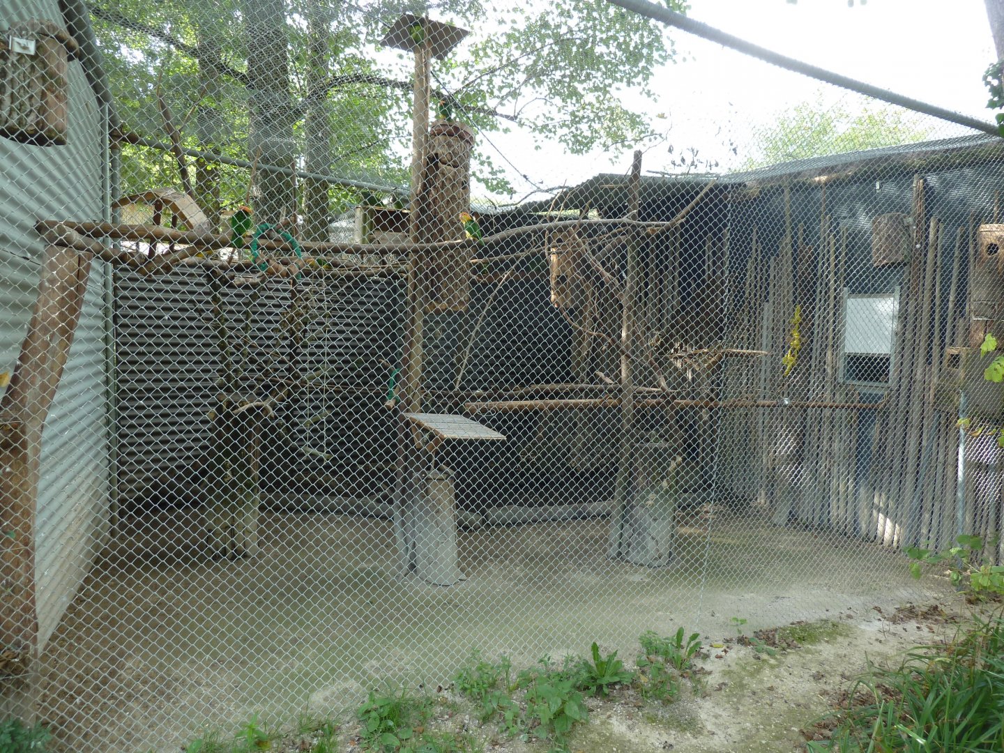 Sikypark Crémines - Parrot aviary