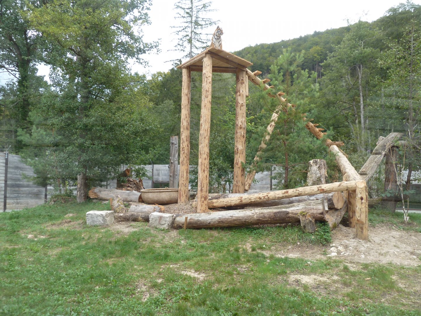 Sikypark Crémines - Tiger enclosure