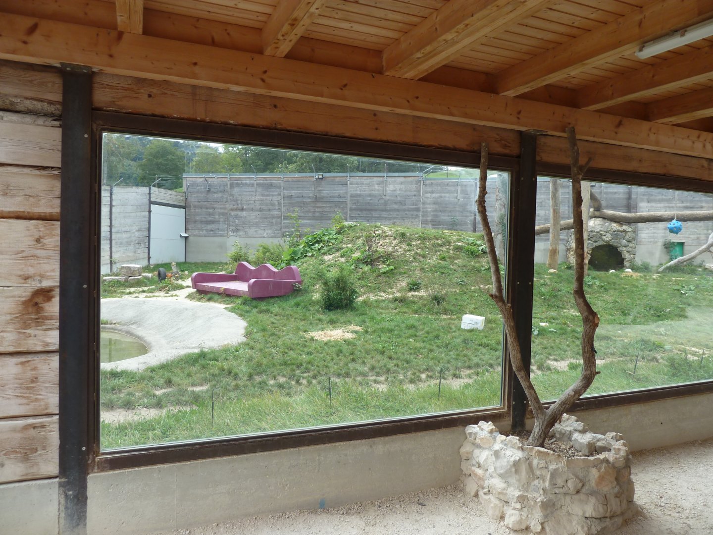 Sikypark Crémines - Tiger enclosure