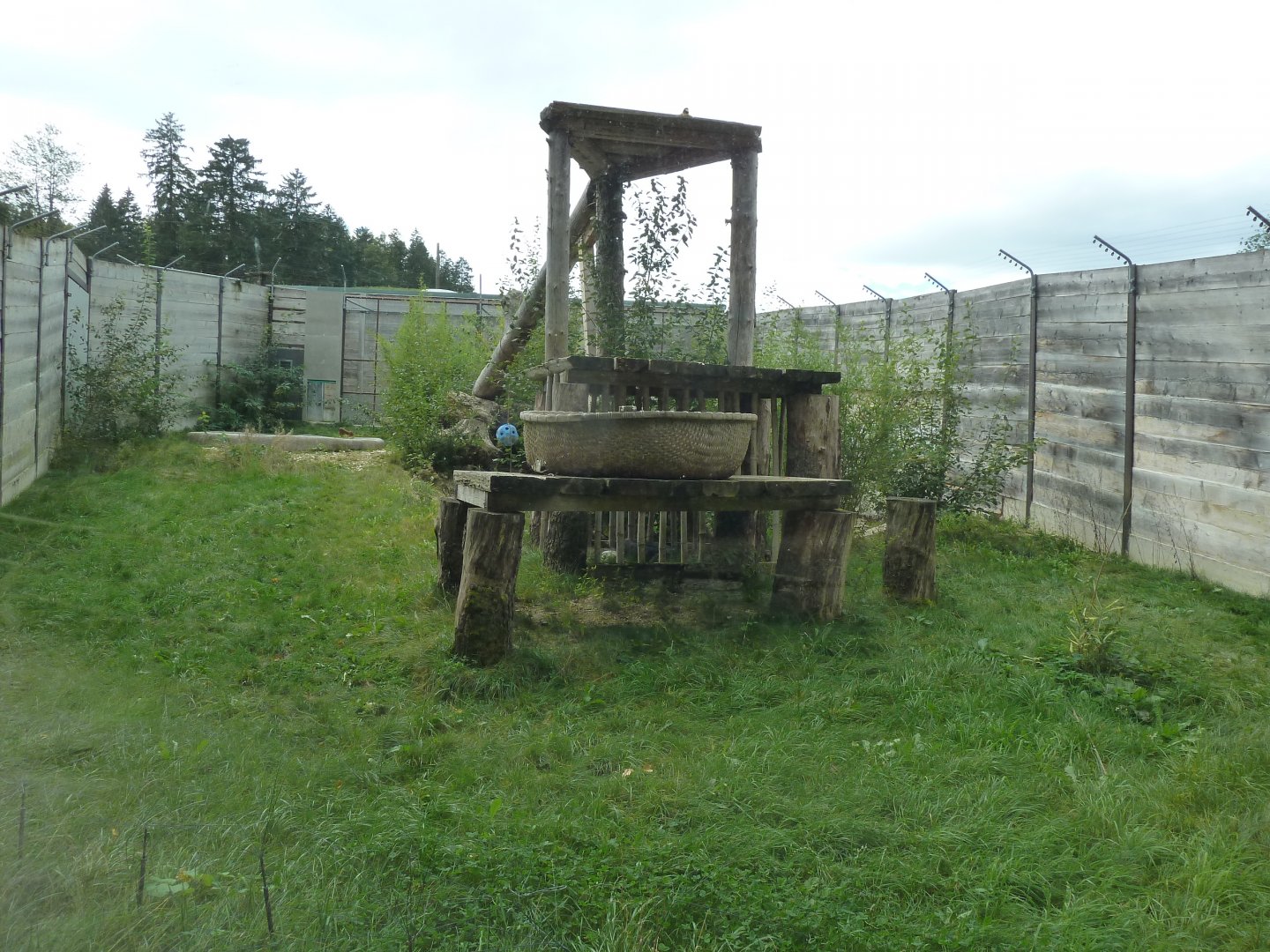 Sikypark Crémines - Tiger enclosure