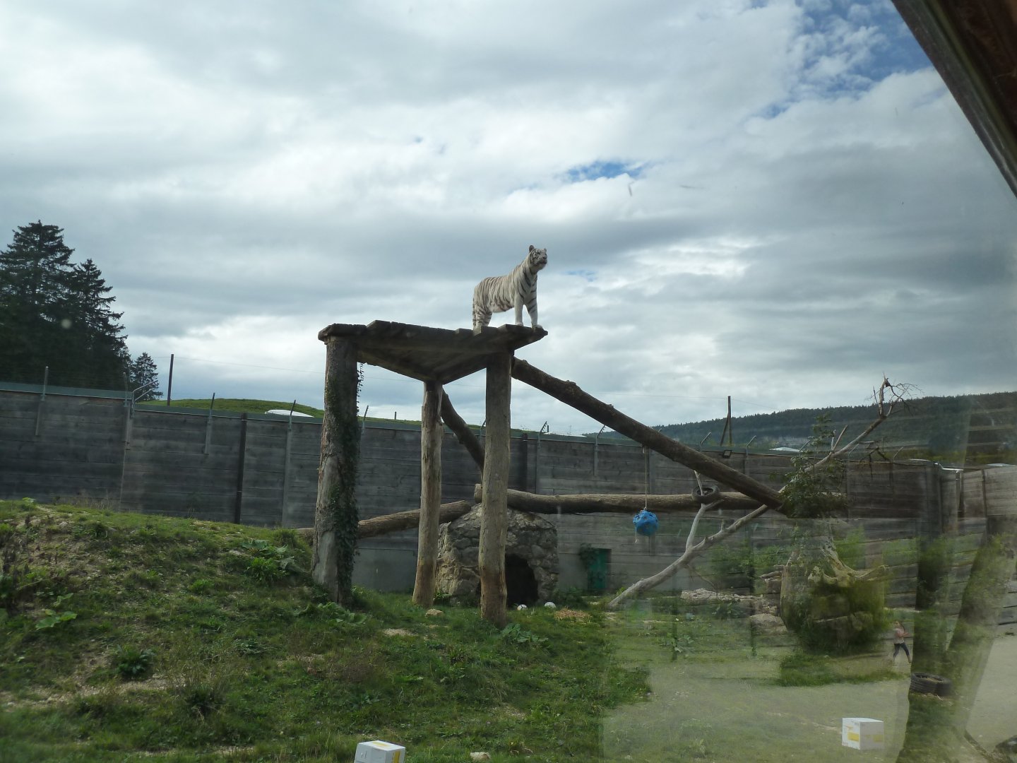 Sikypark Crémines - Tiger enclosure