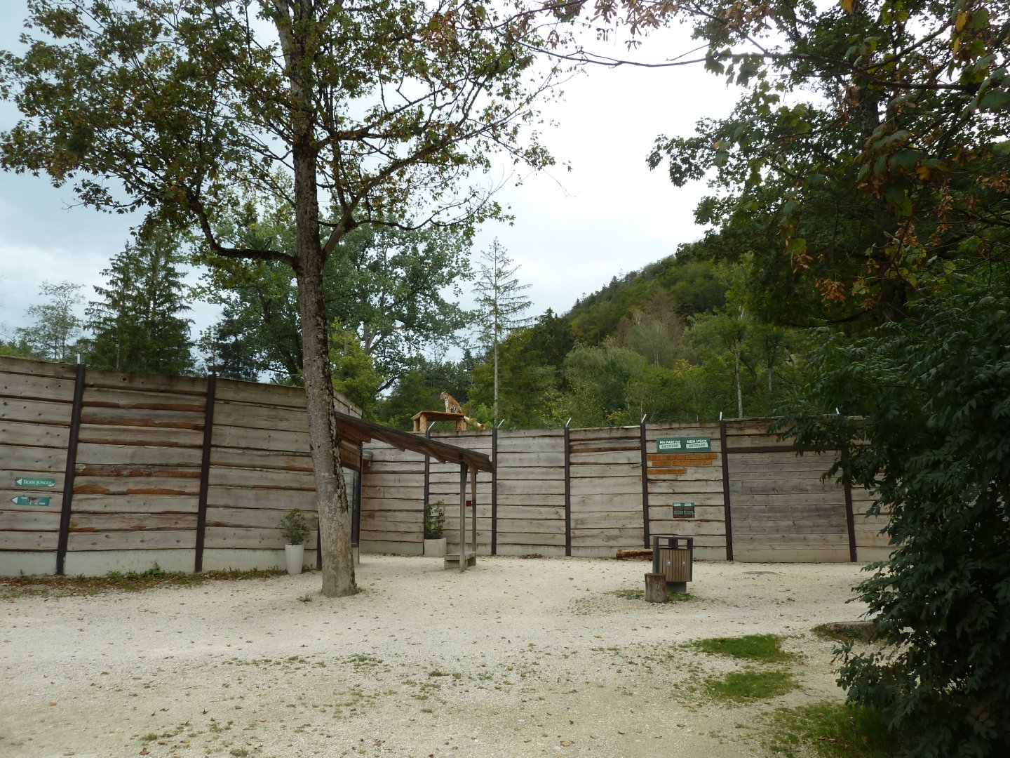 Sikypark Crémines - Tiger square