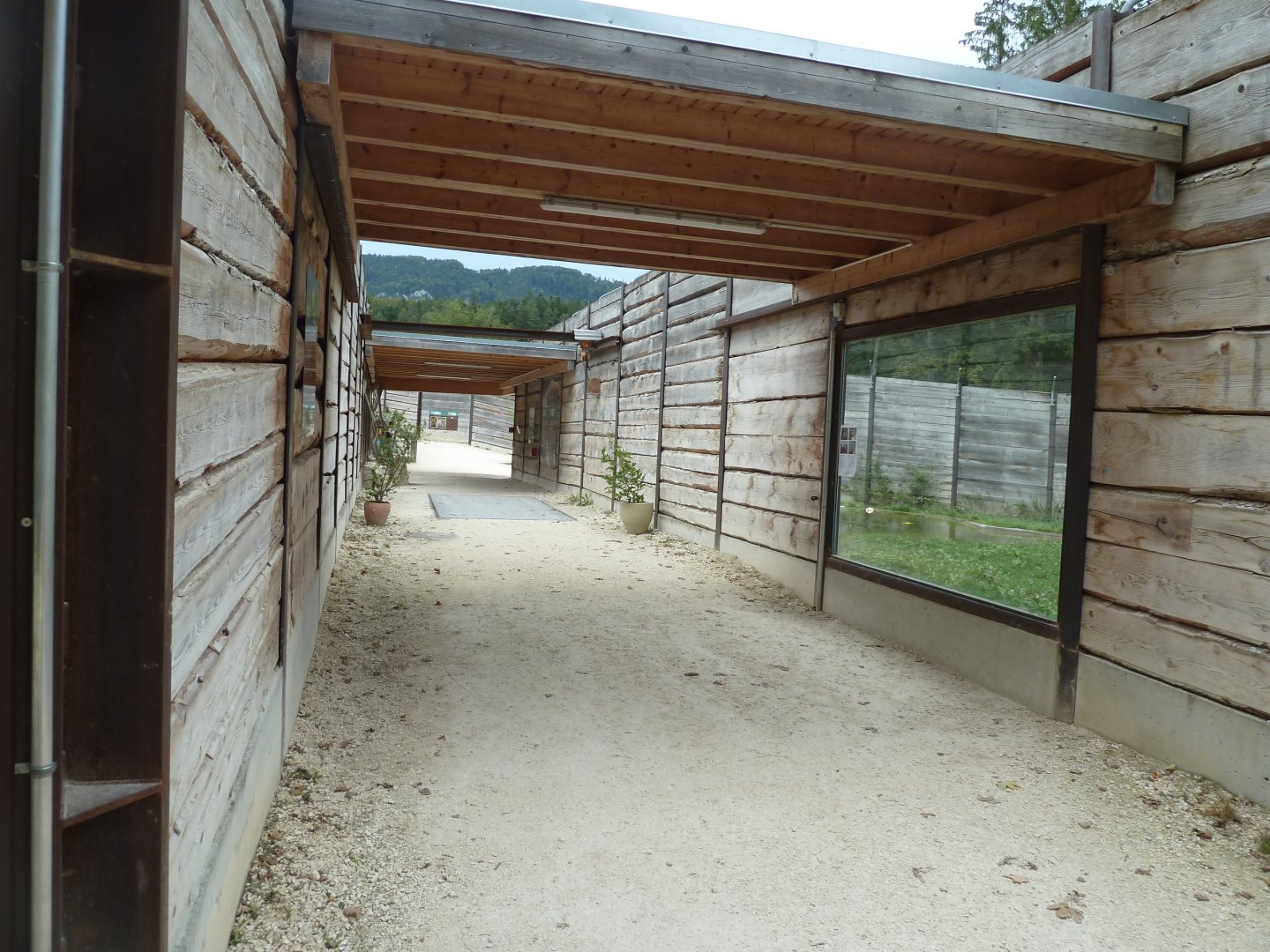 Sikypark Crémines - Tiger visitor tour