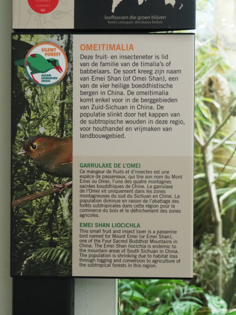 Silent Forest campaign - Emei Shan Liocichla sign