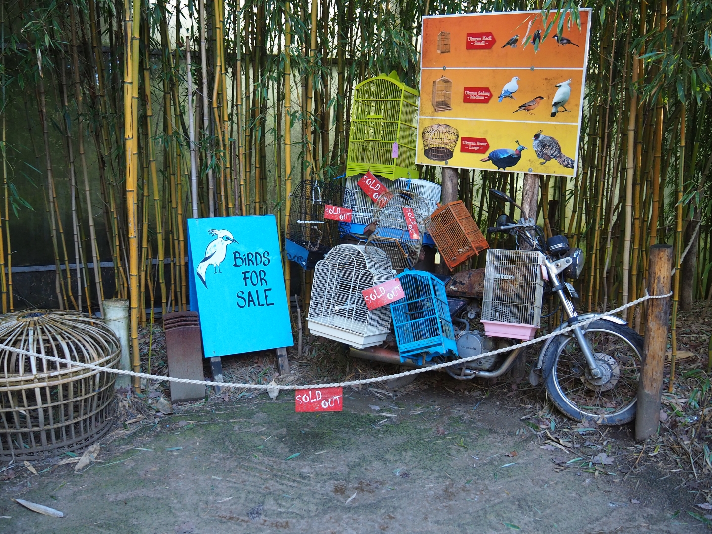 Silent Forest campaign materials (Jan 20th, 2019)