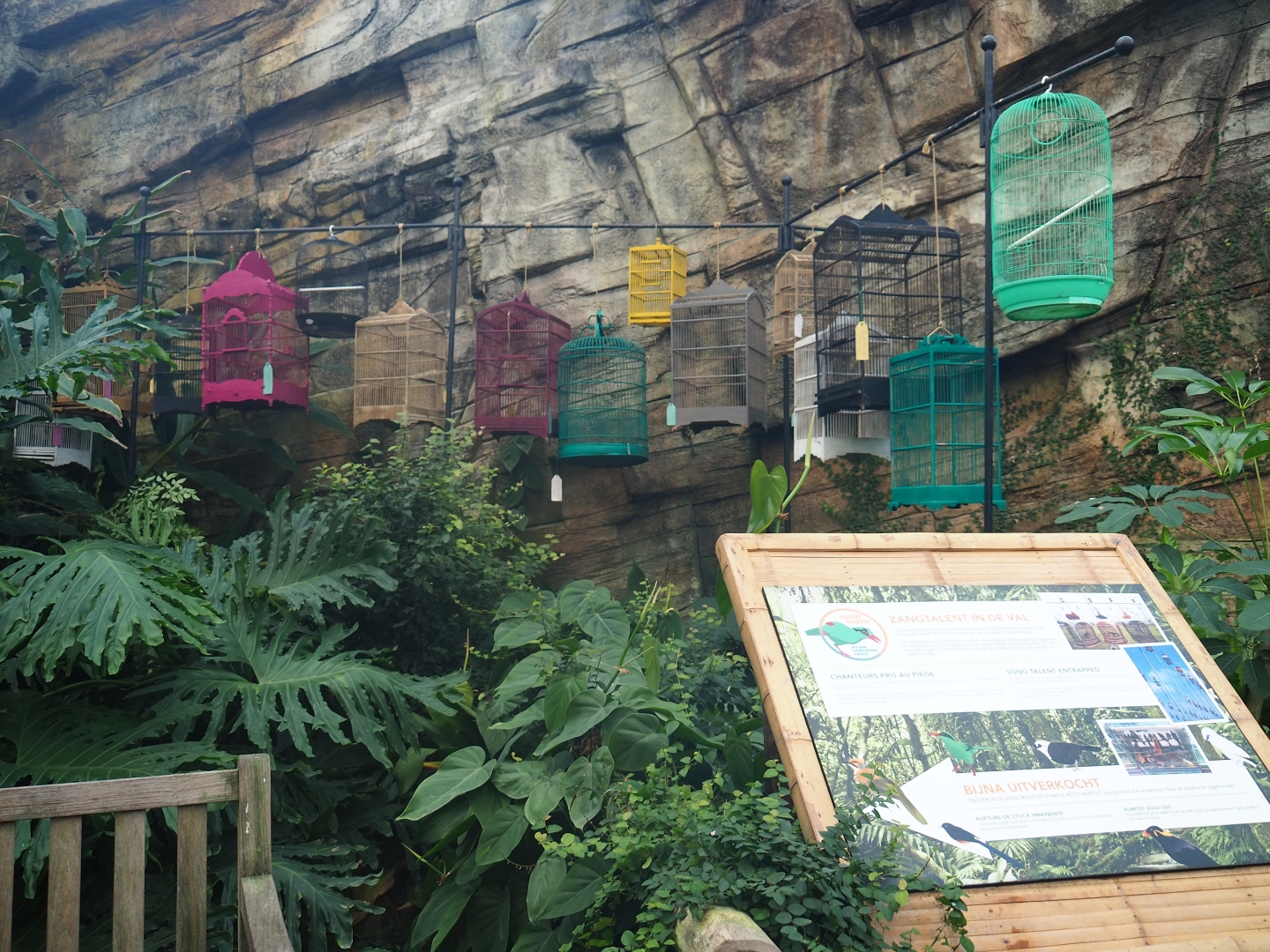 Silent Forest campaign materials (Jan 20th, 2019)