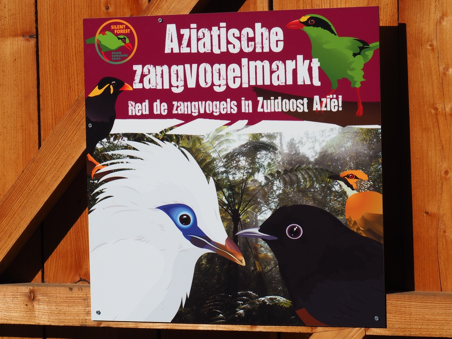 Silent Forest campaign sign (Oct 13th, 2018)