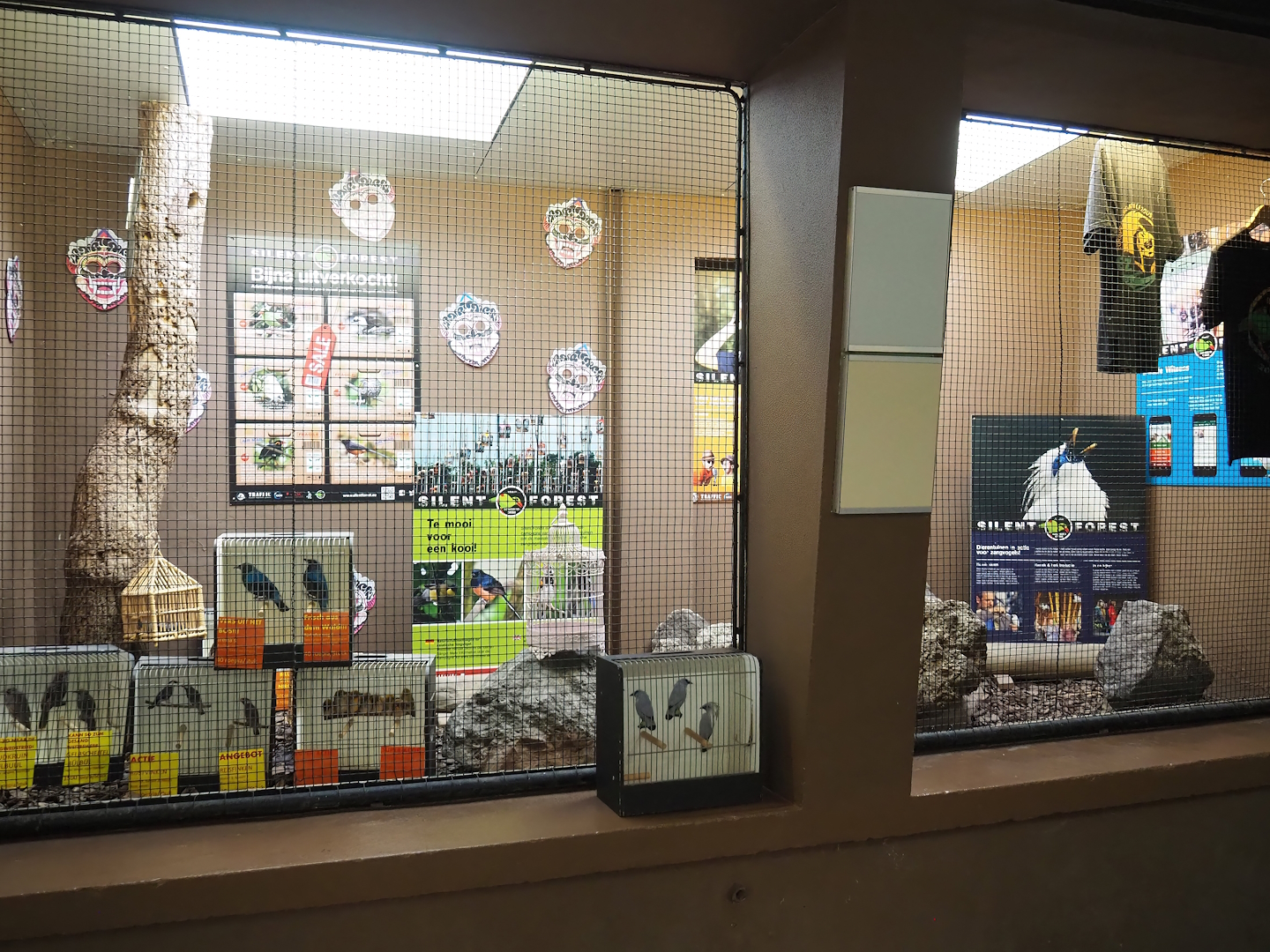 Silent Forest display in former aviary, 2023-10-07