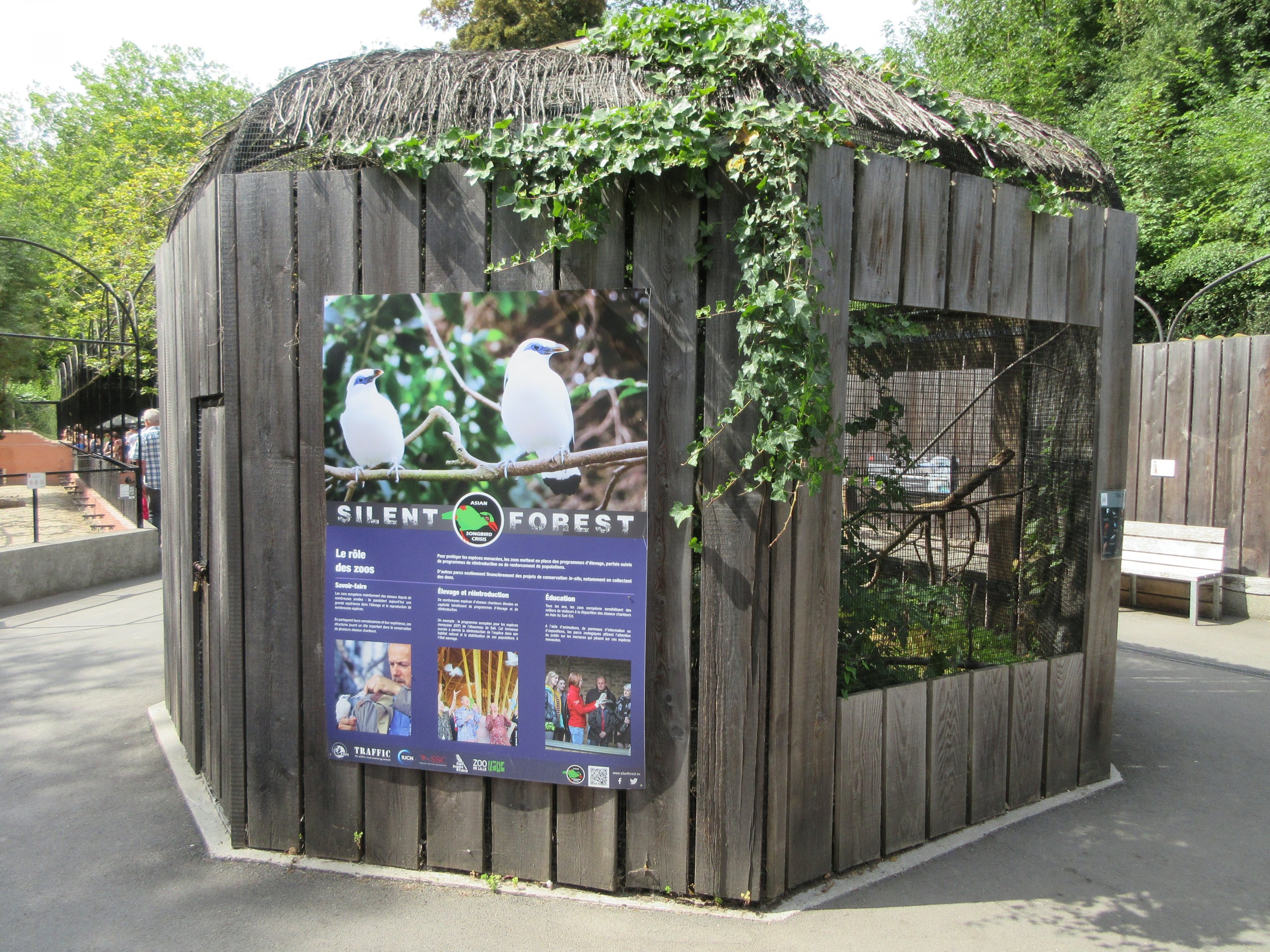 Silent Forest Exhibit (no animals)