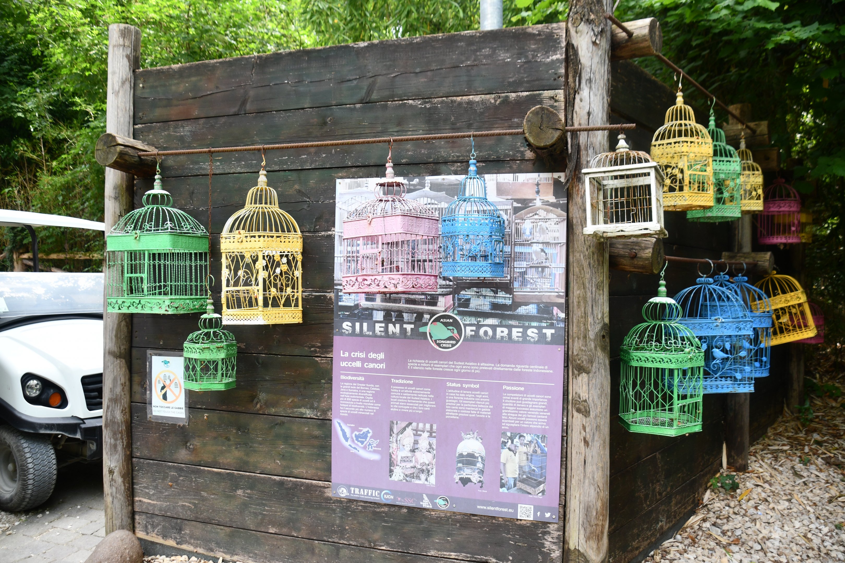 Silent Forest installation