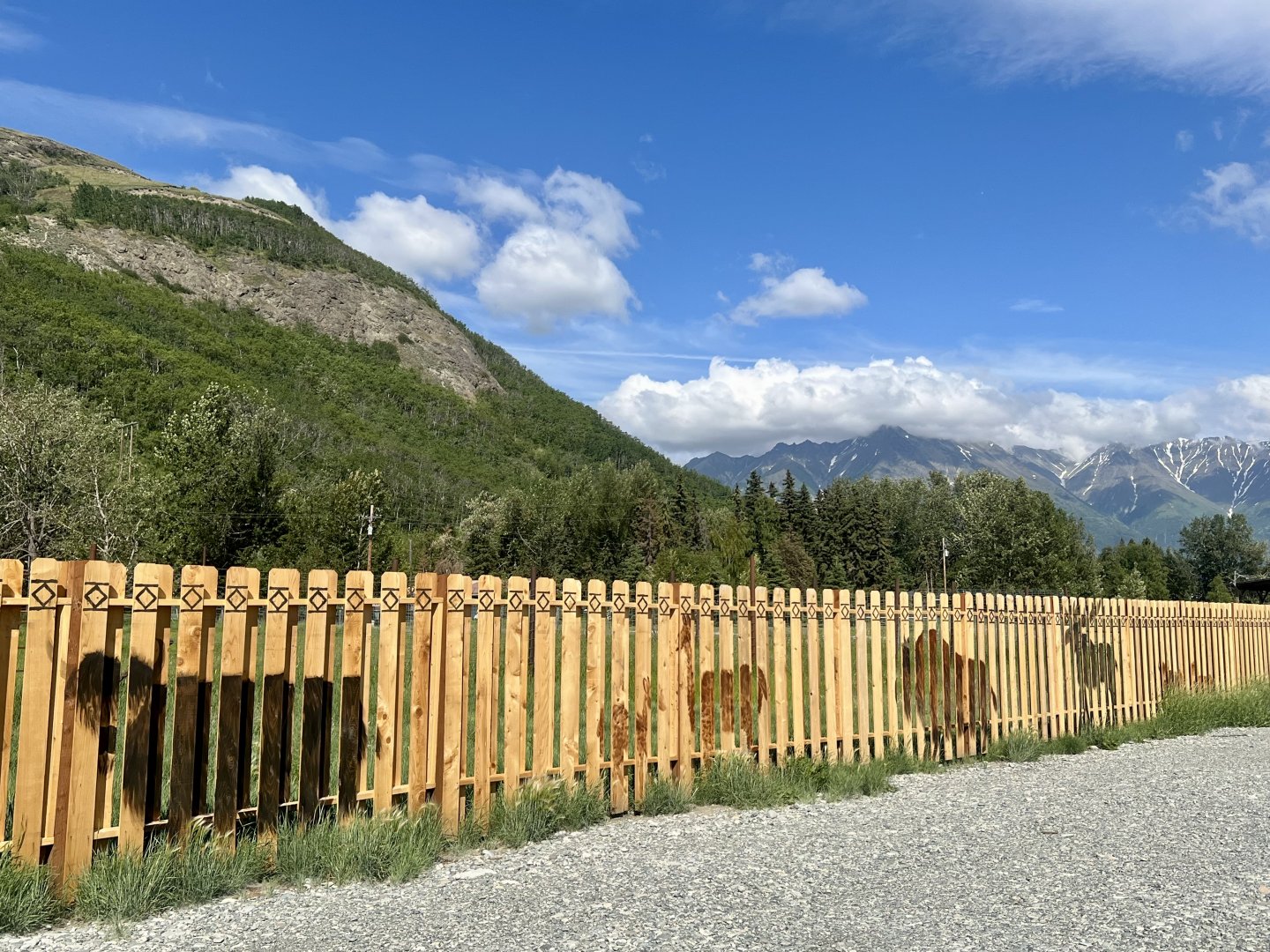 Silhouettes of Reindeer Farm inhabitants