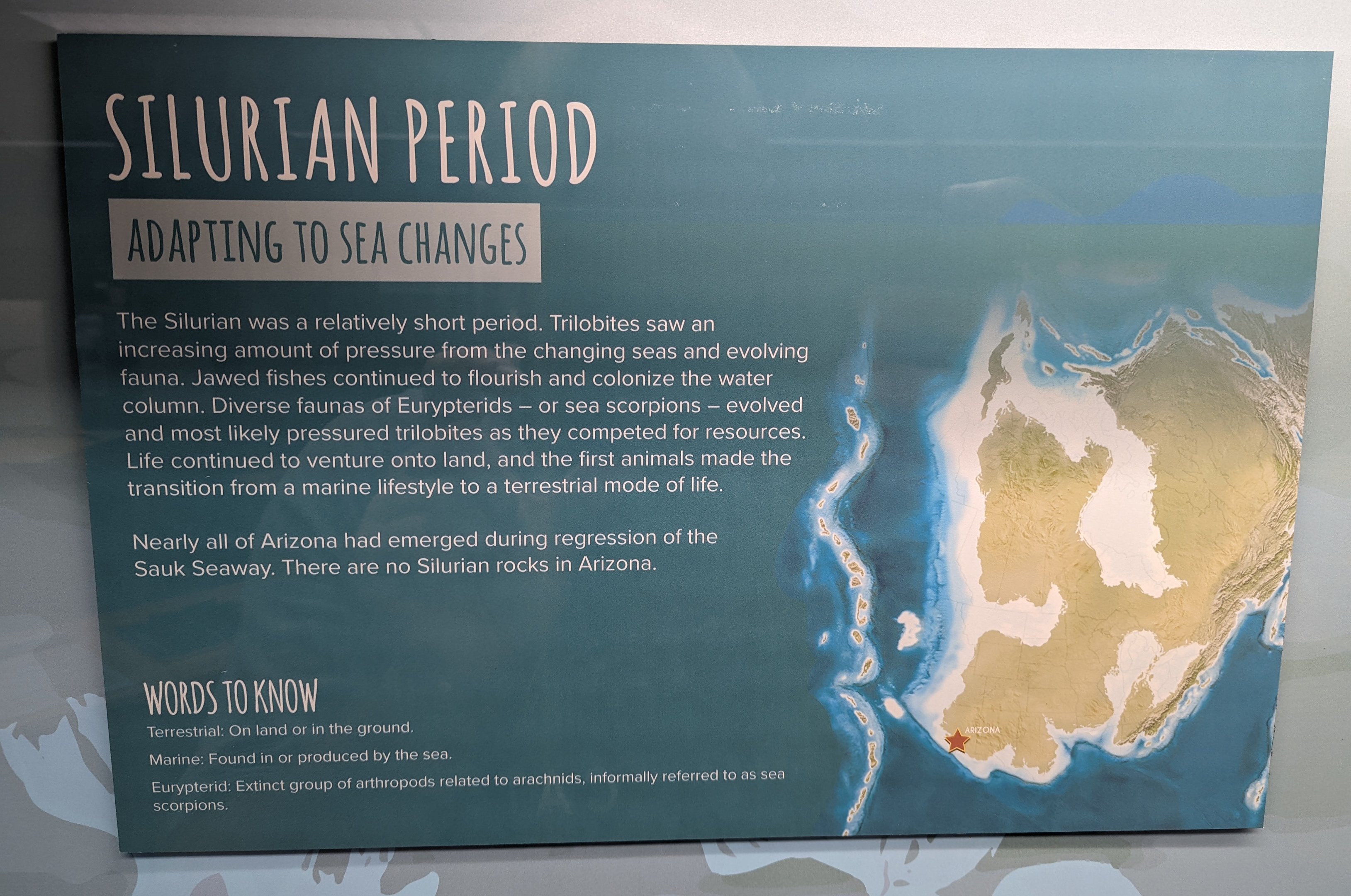 Silurian Period Signage