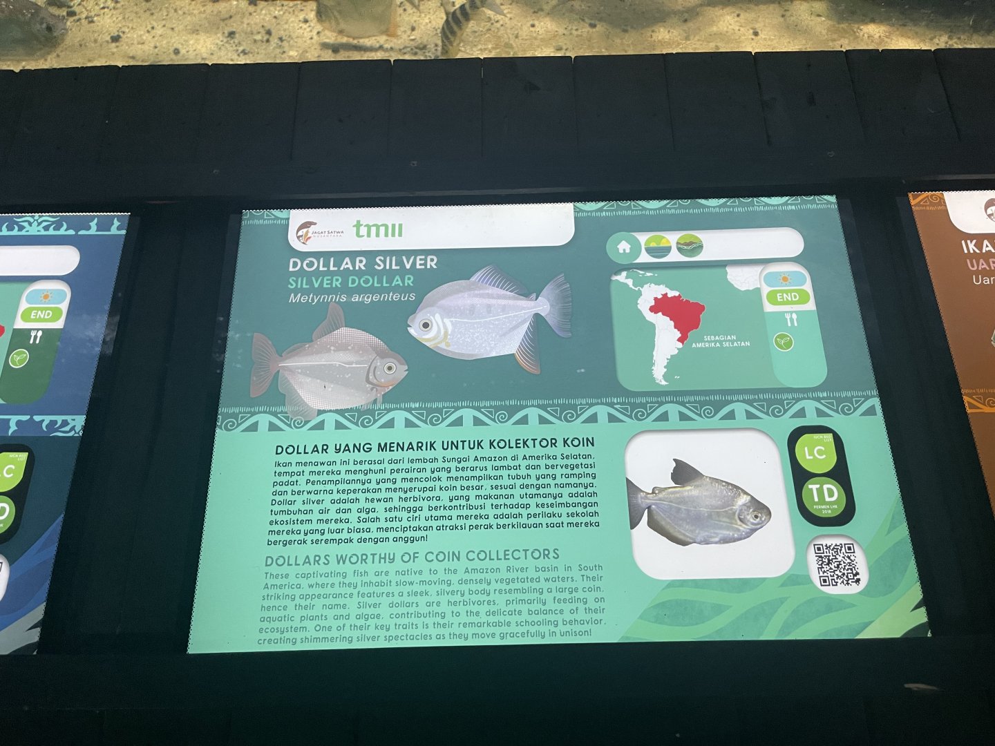silver dollar signage - dunia air tawar
