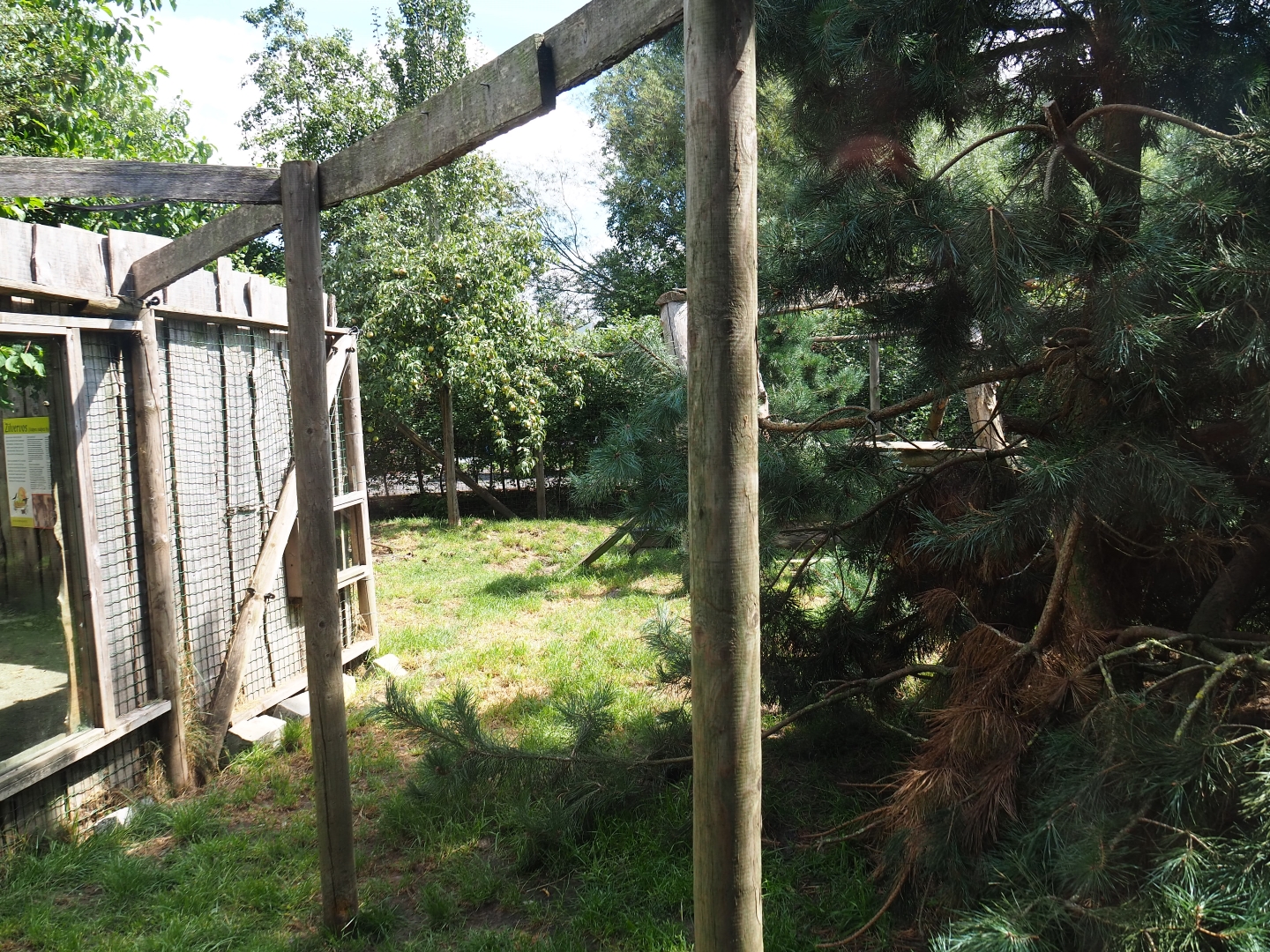 Silver fox and Arctic fox exhibit