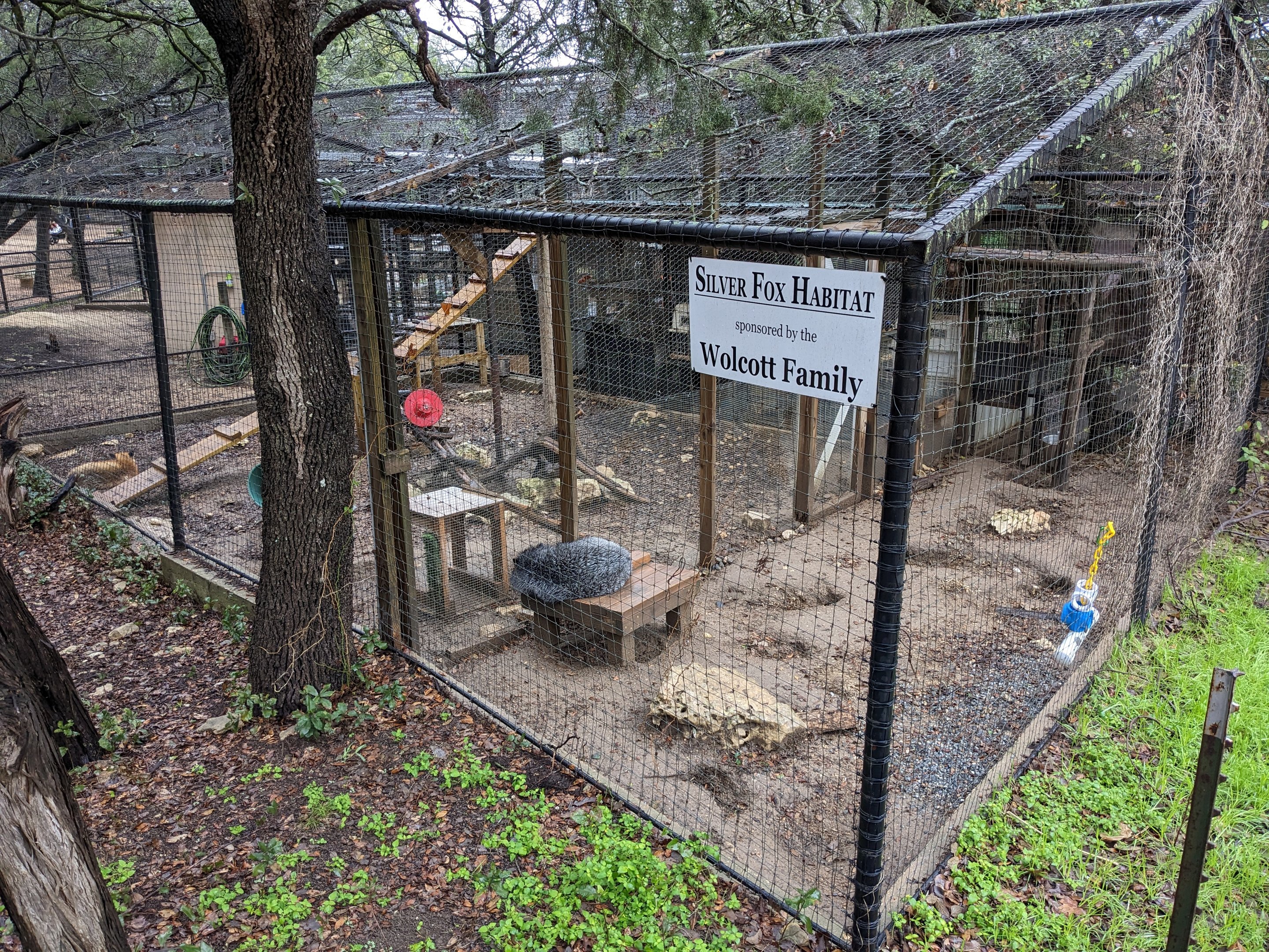 Silver fox cage