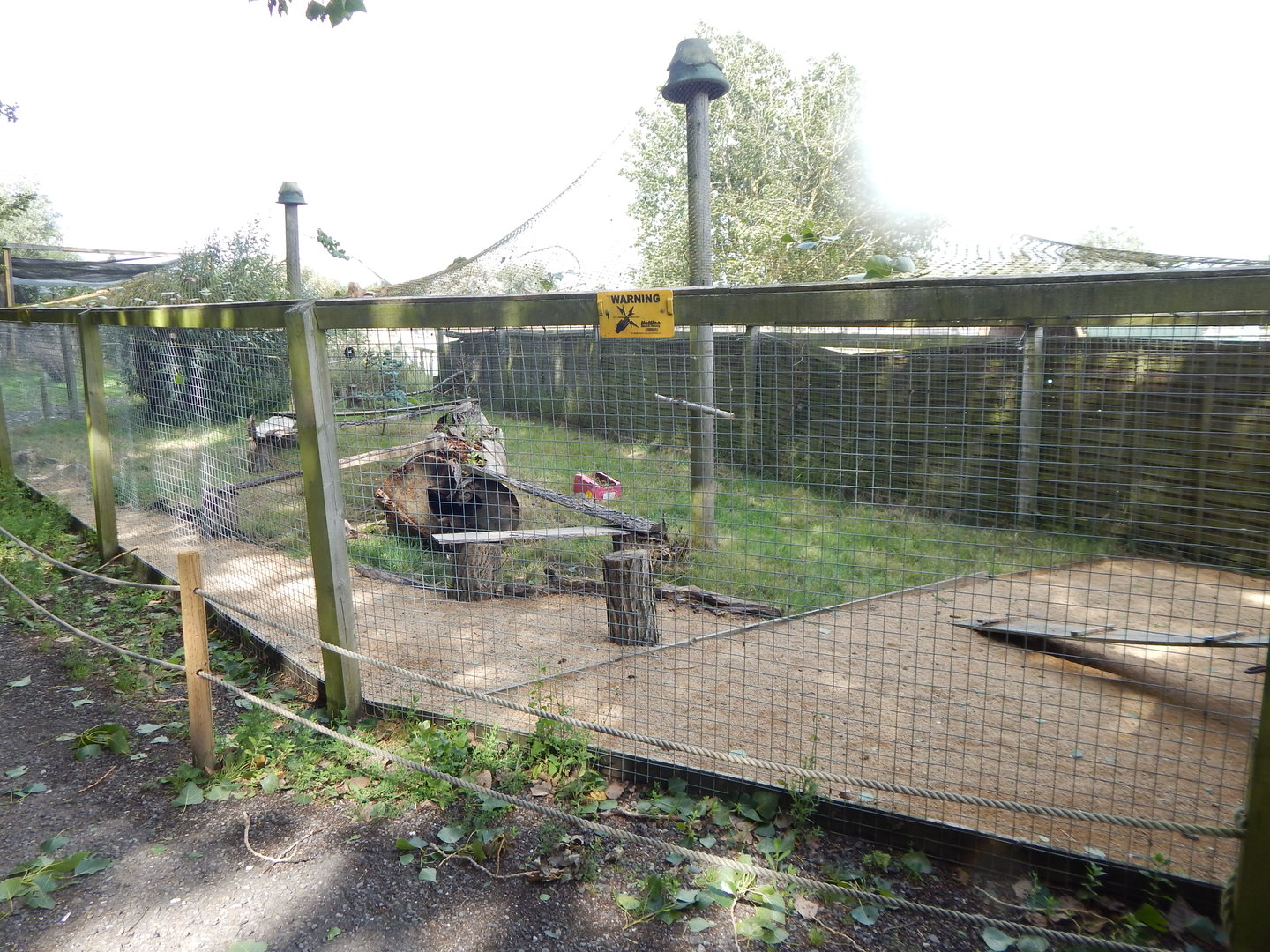 Silver fox enclosure 150723