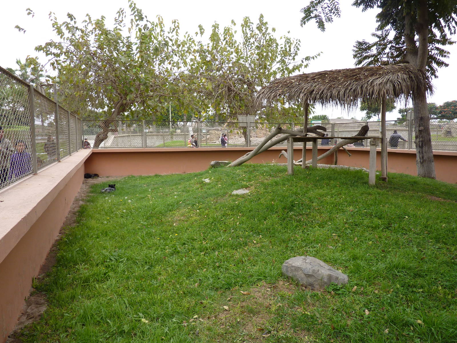 Silver Fox enclosure