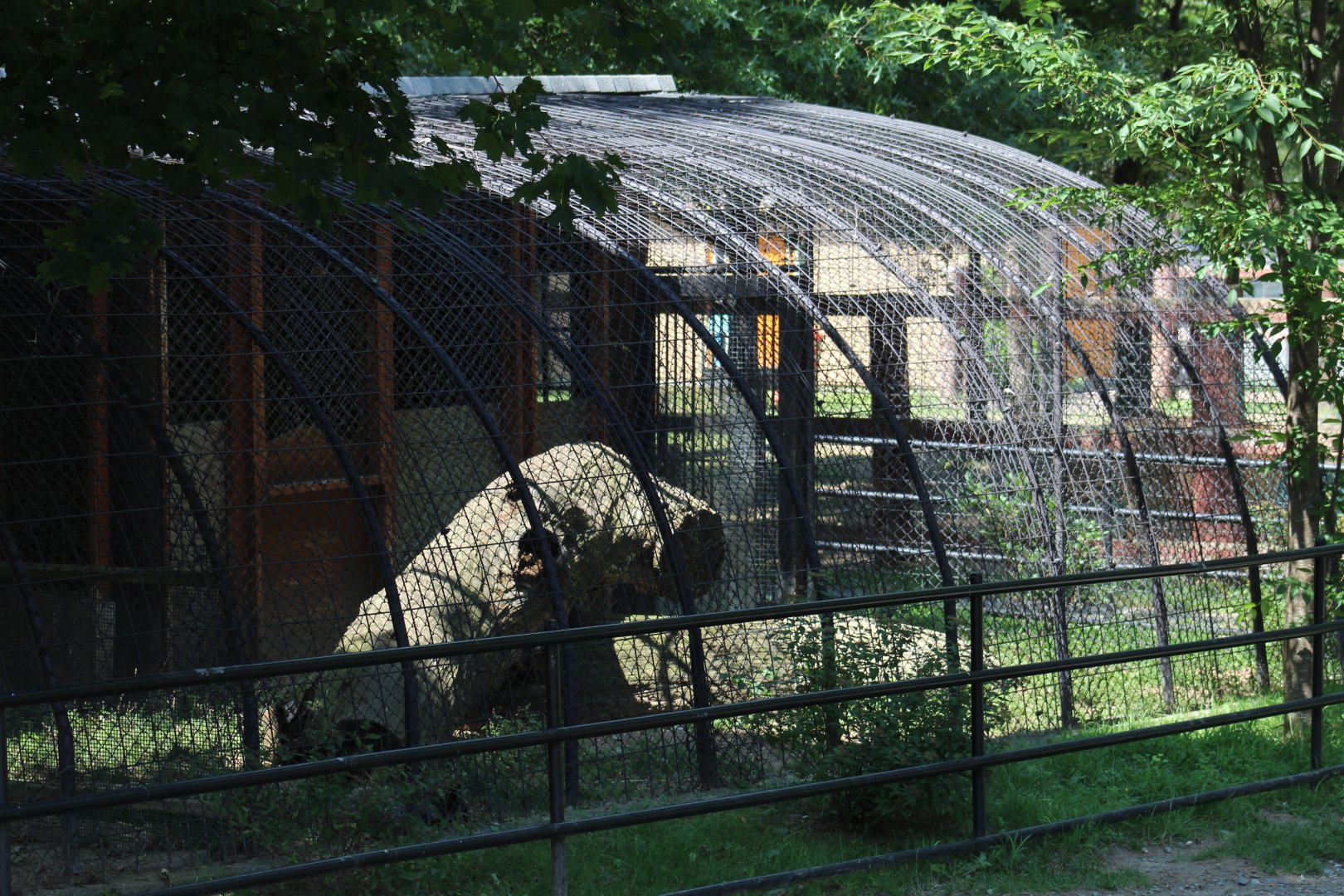 Silver Fox Enclosure