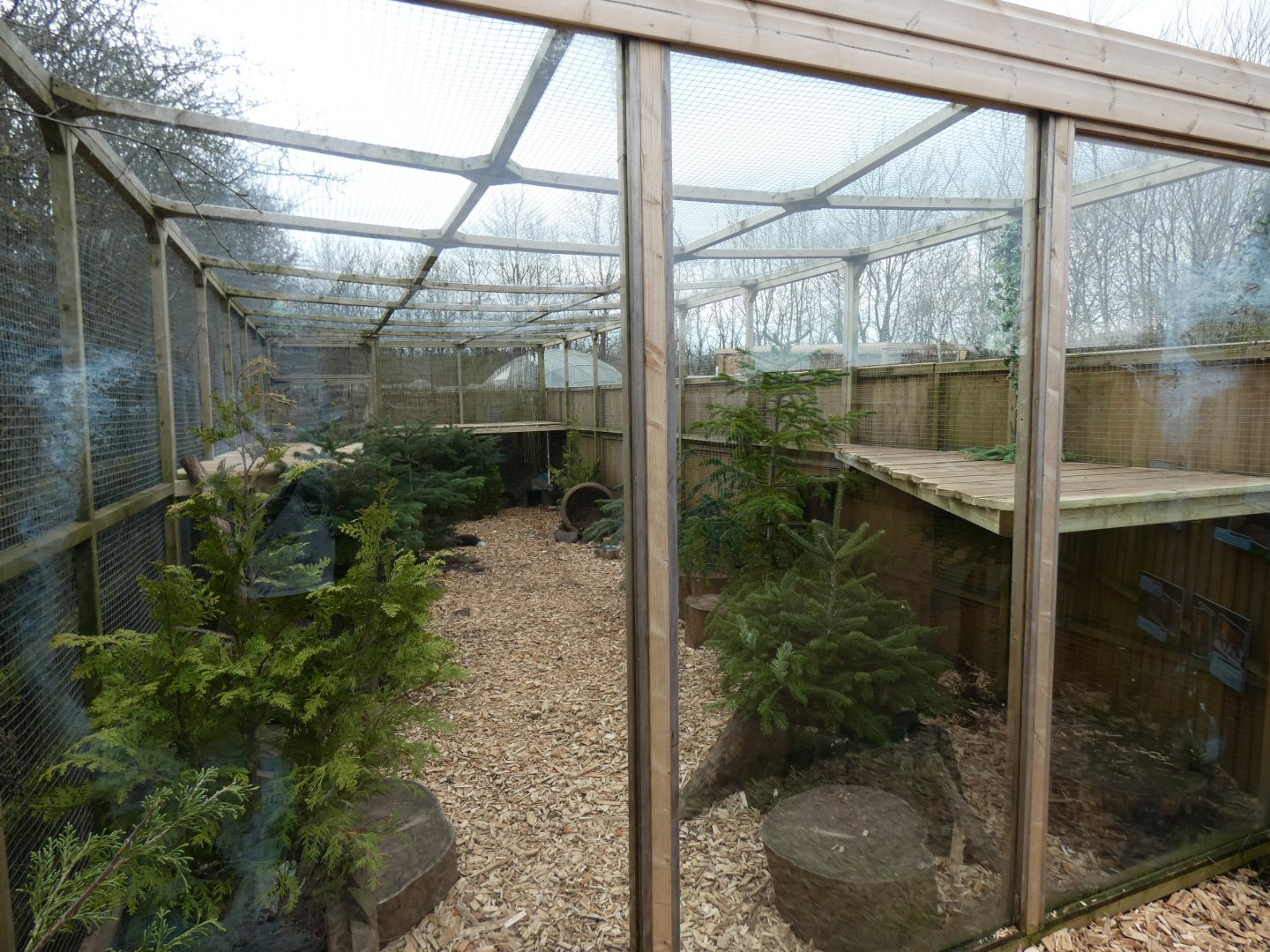 'Silver' Fox enclosure