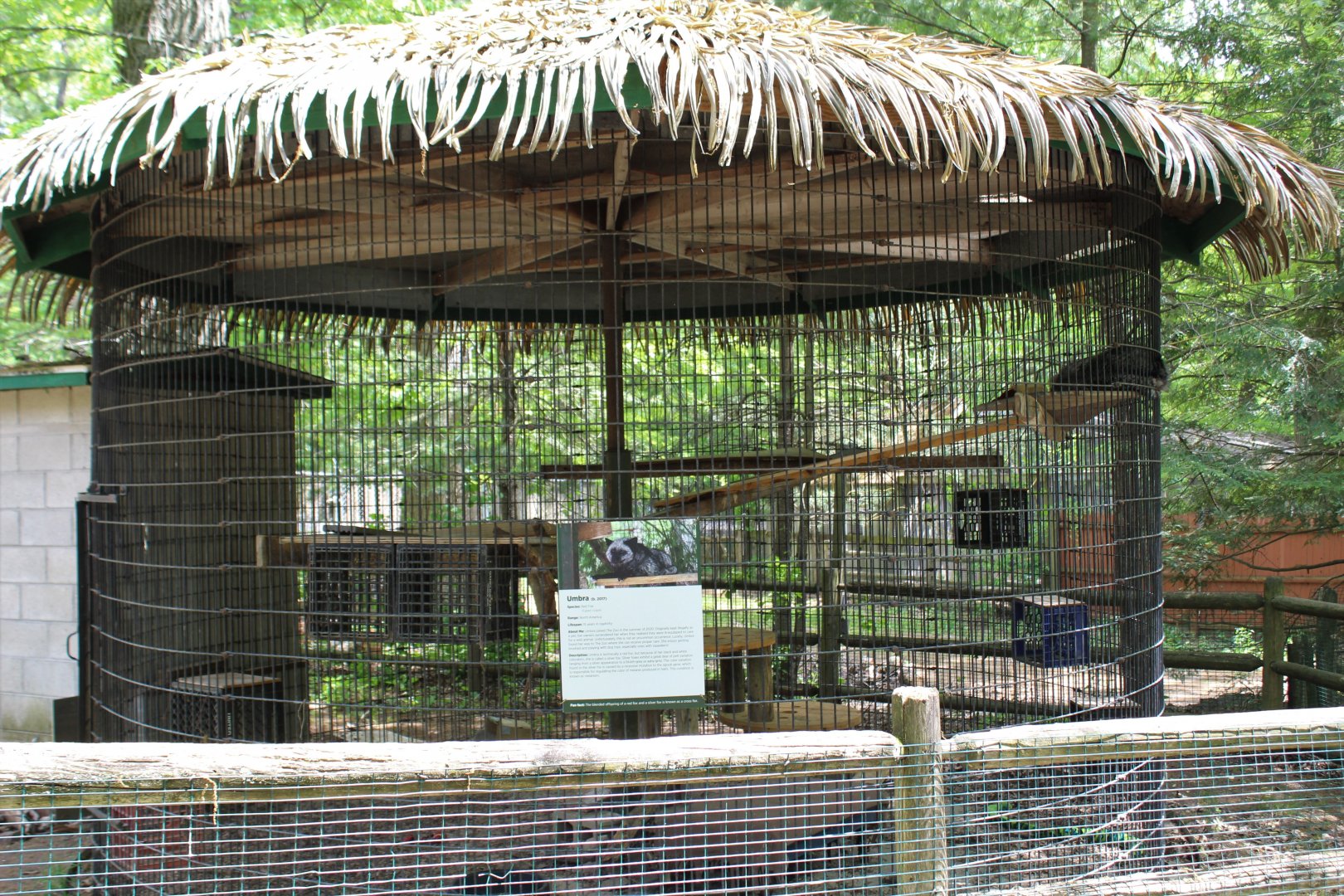 Silver Fox Enclosure