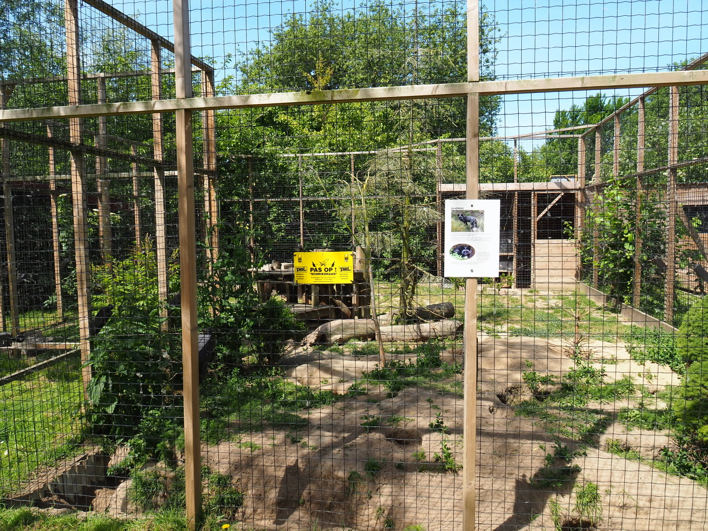 Silver fox exhibit, 2019-06-01