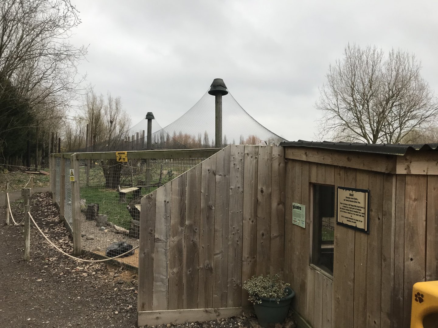 Silver fox exhibit 241118