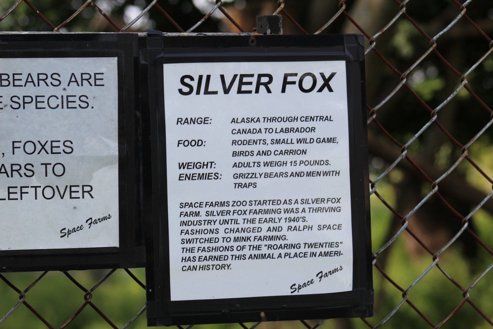 Silver Fox Sign