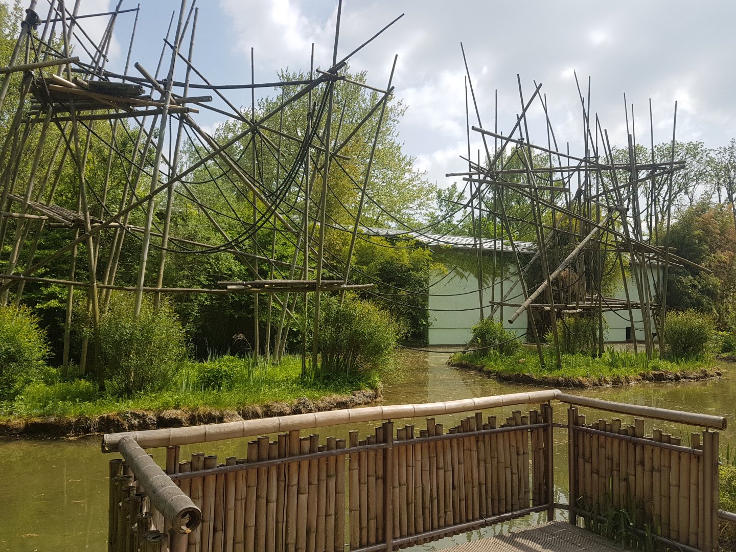 Silver Gibbon Outdoor Exhibit