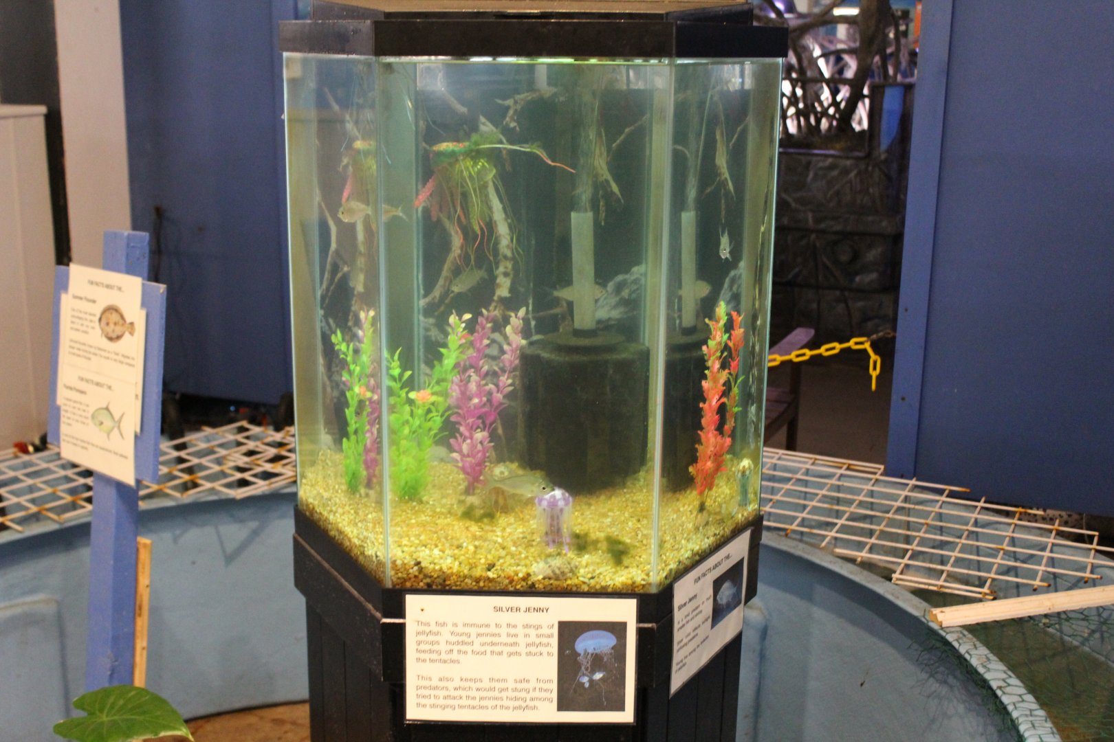 Silver Jenny Mojarra Tank