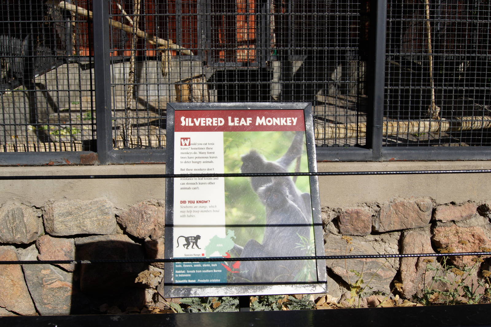 Silver Leaf Langur Sign