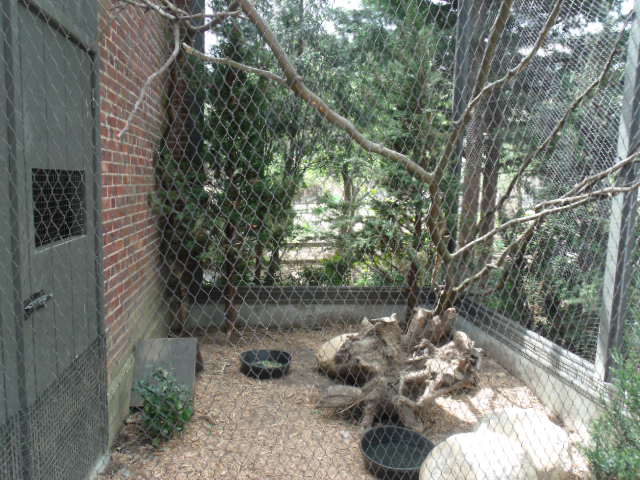 Silver Pheasant Enclosure