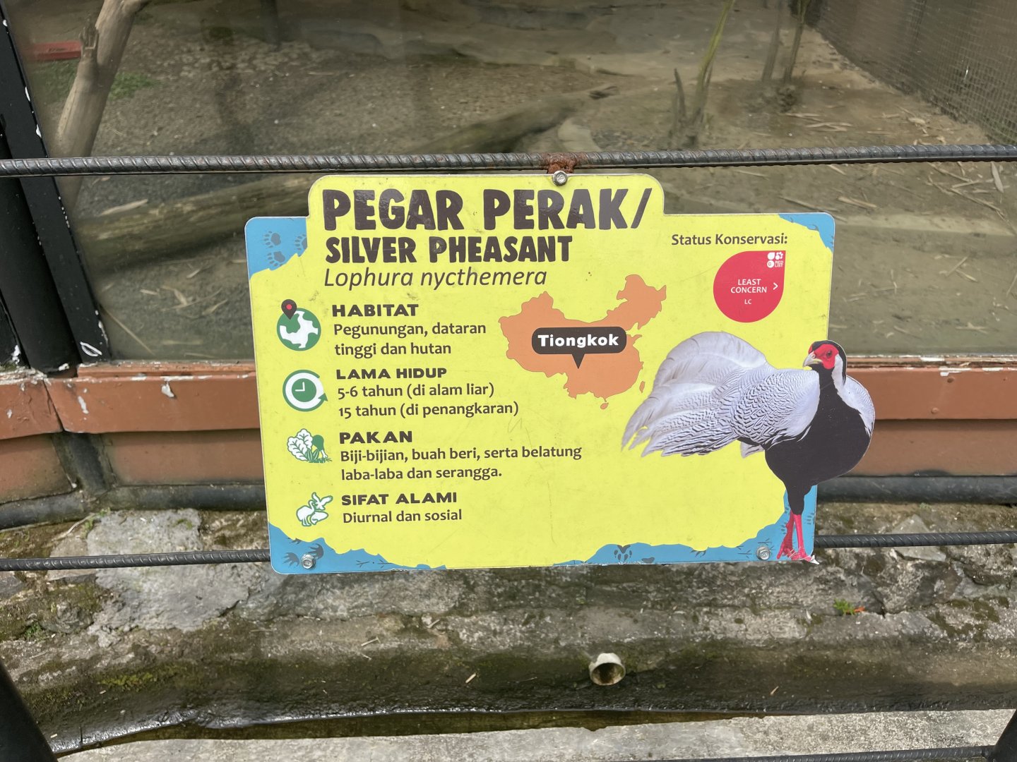 silver pheasant signage