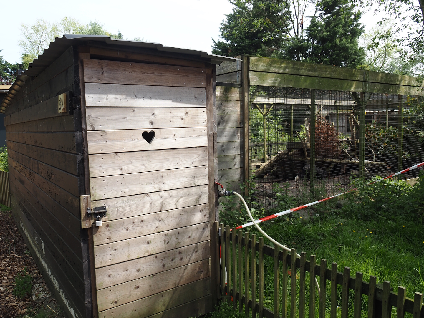 Silver red fox exhibit, 2024-05-11
