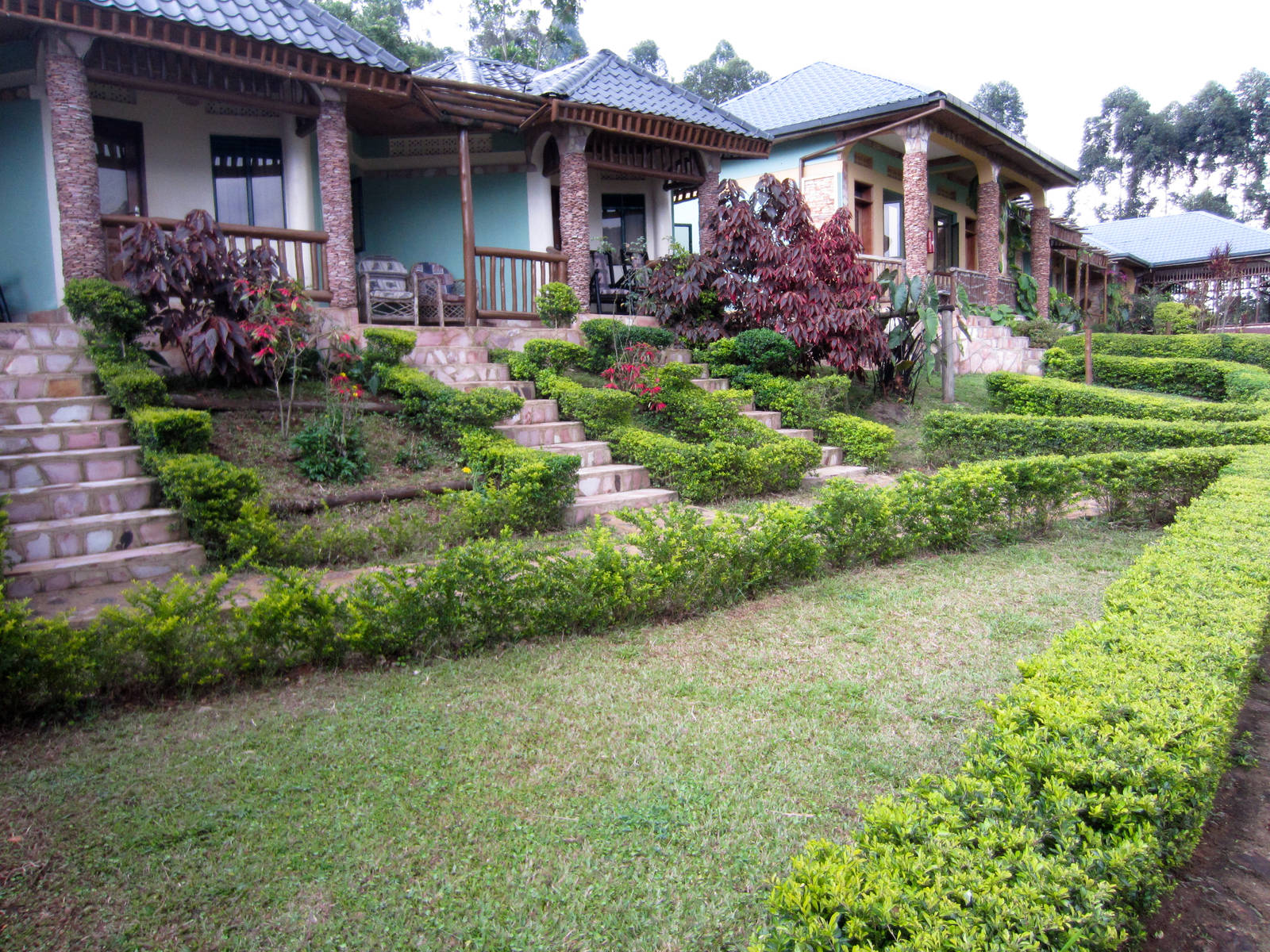 Silverback Lodge
