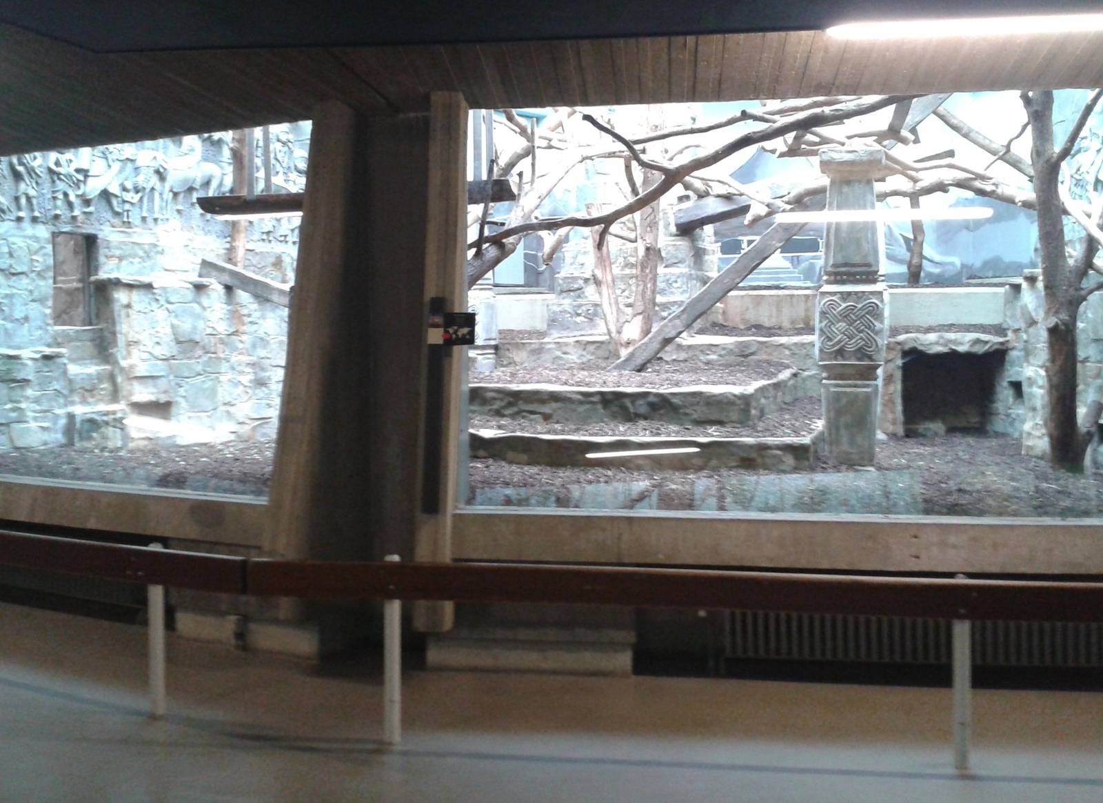 Silvered leaf monkey enclosure