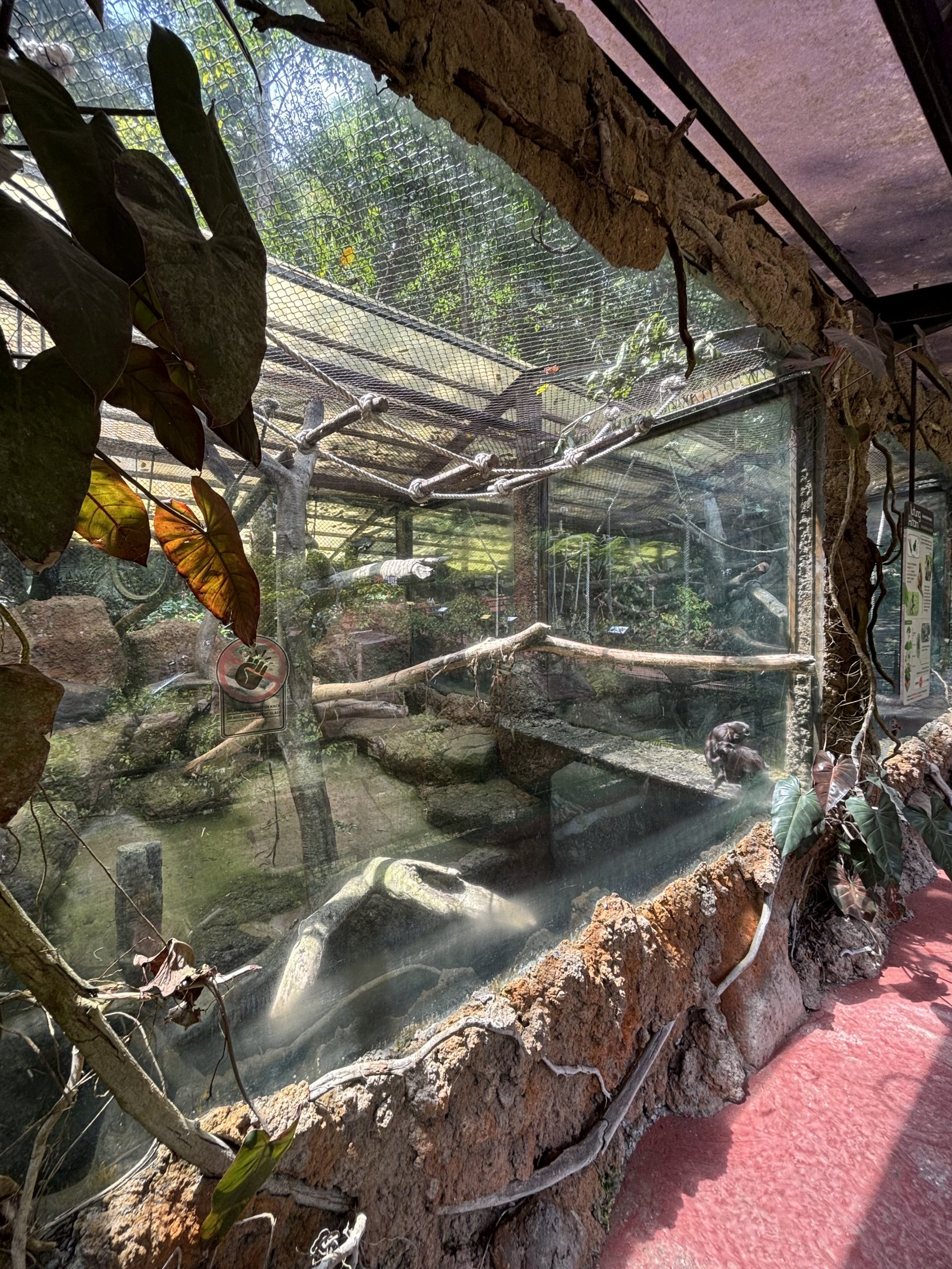 Silvered Leaf Monkey Exhibit