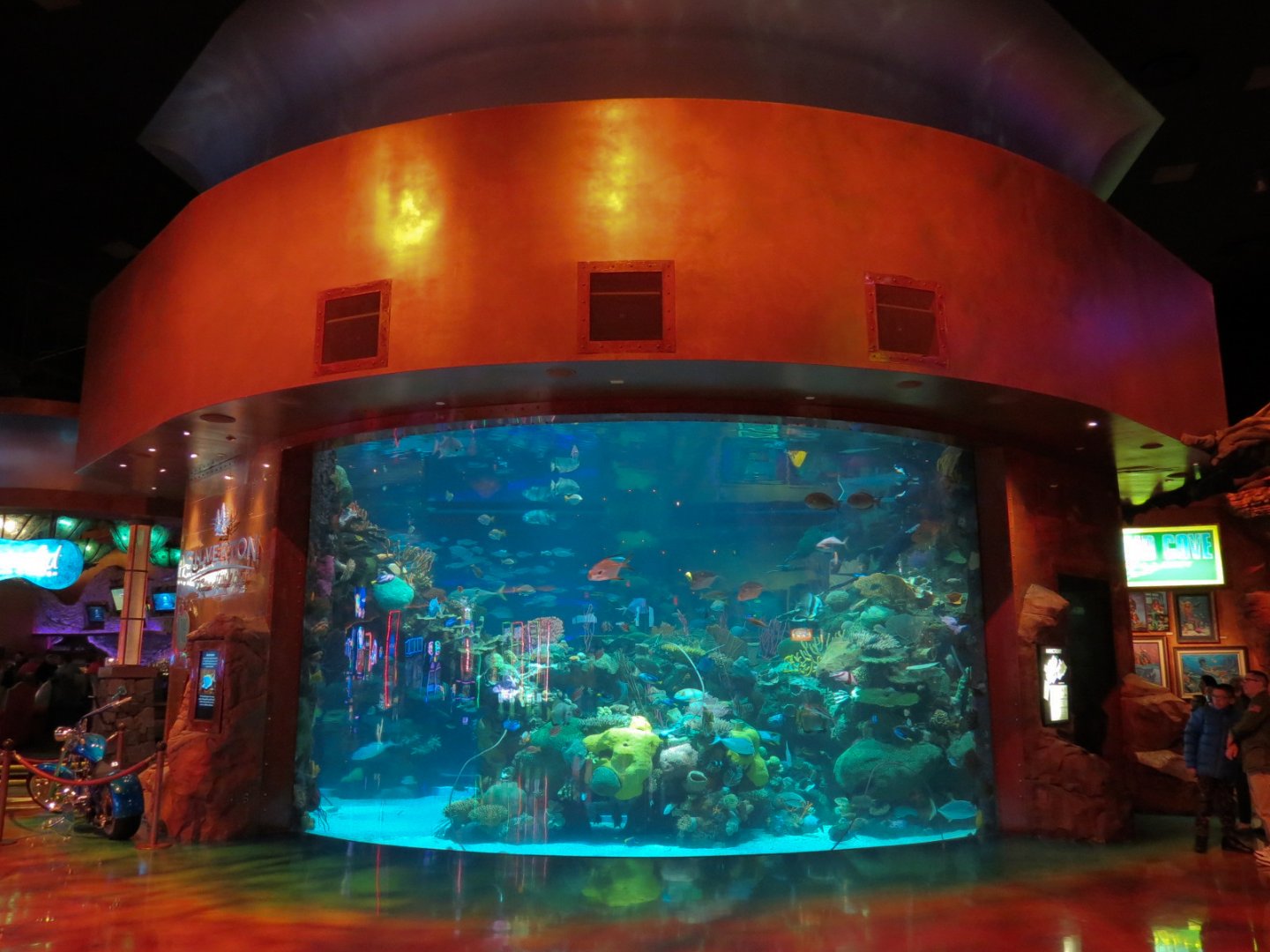 Silverton Casino Las Vegas - Mermaid Aquarium