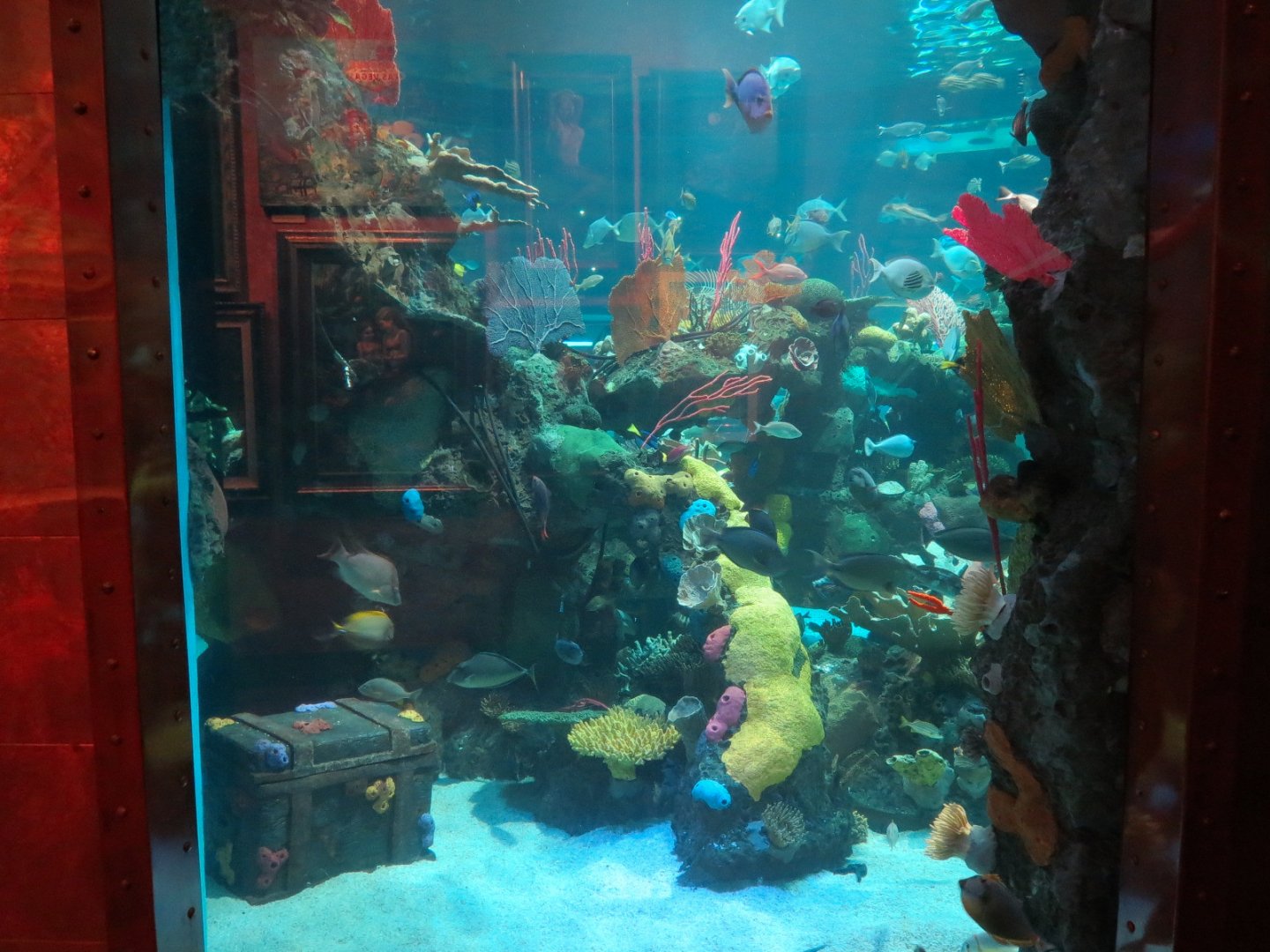 Silverton Casino Las Vegas - Mermaid Aquarium