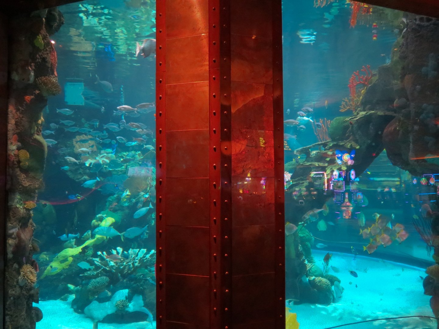 Silverton Casino Las Vegas - Mermaid Aquarium