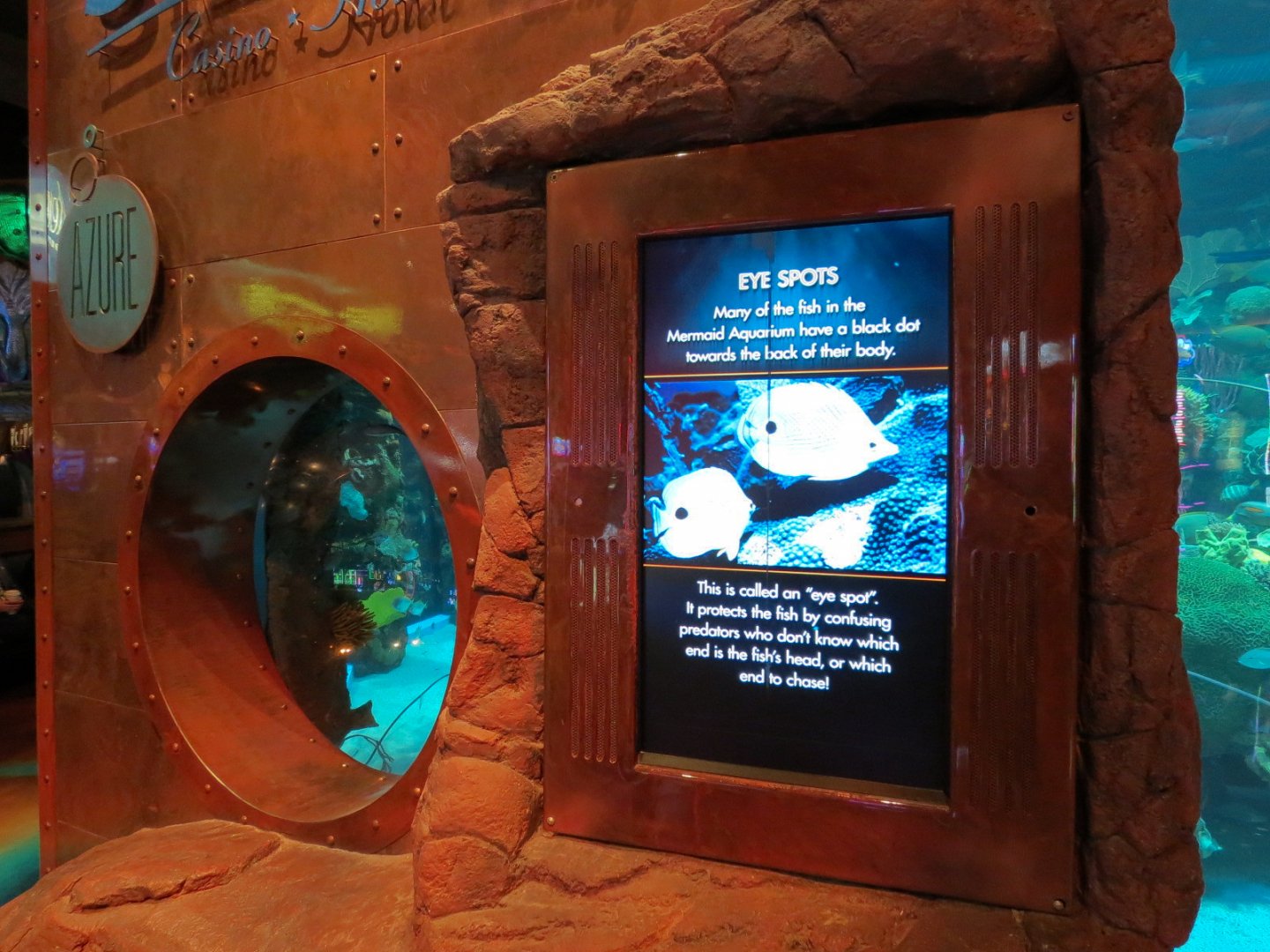Silverton Casino Las Vegas - Mermaid Aquarium