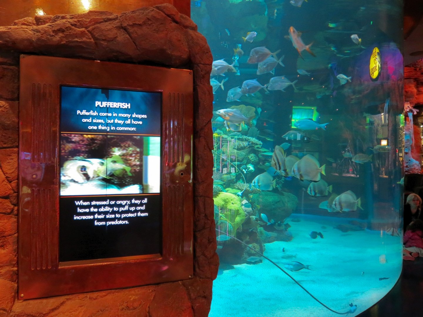 Silverton Casino Las Vegas - Mermaid Aquarium
