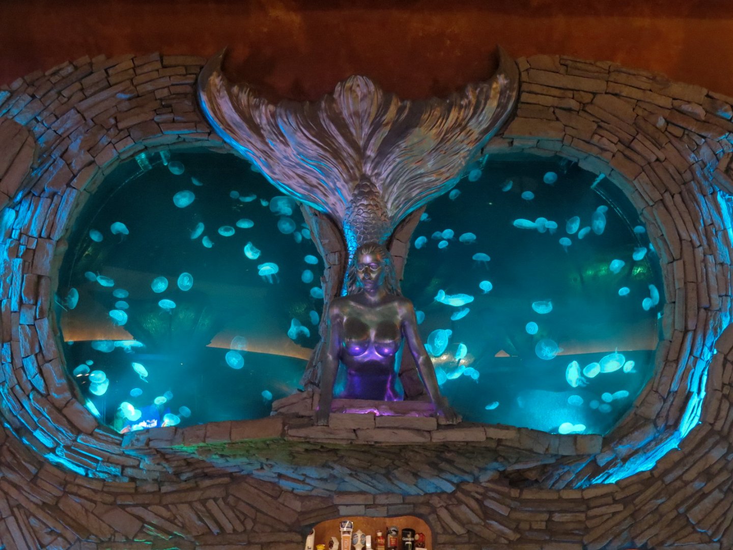 Silverton Casino Las Vegas - Mermaid Lounge - 2 Moon Jellies Tanks