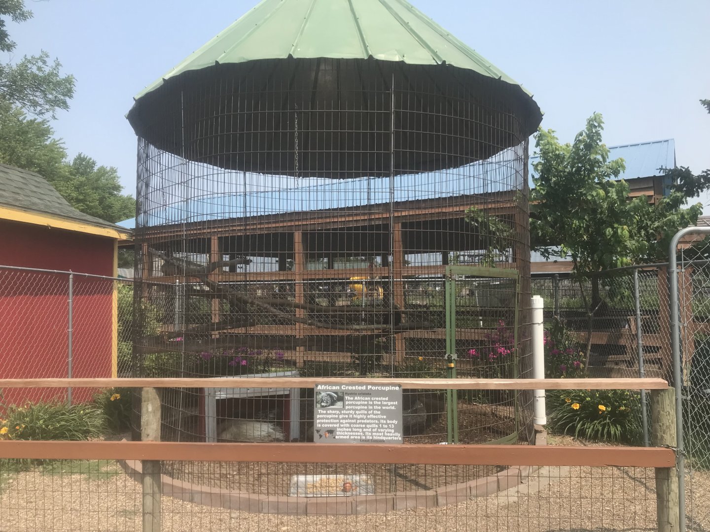 Silvery-Cheeked Hornbill/African Crested Porcupine Exhibit