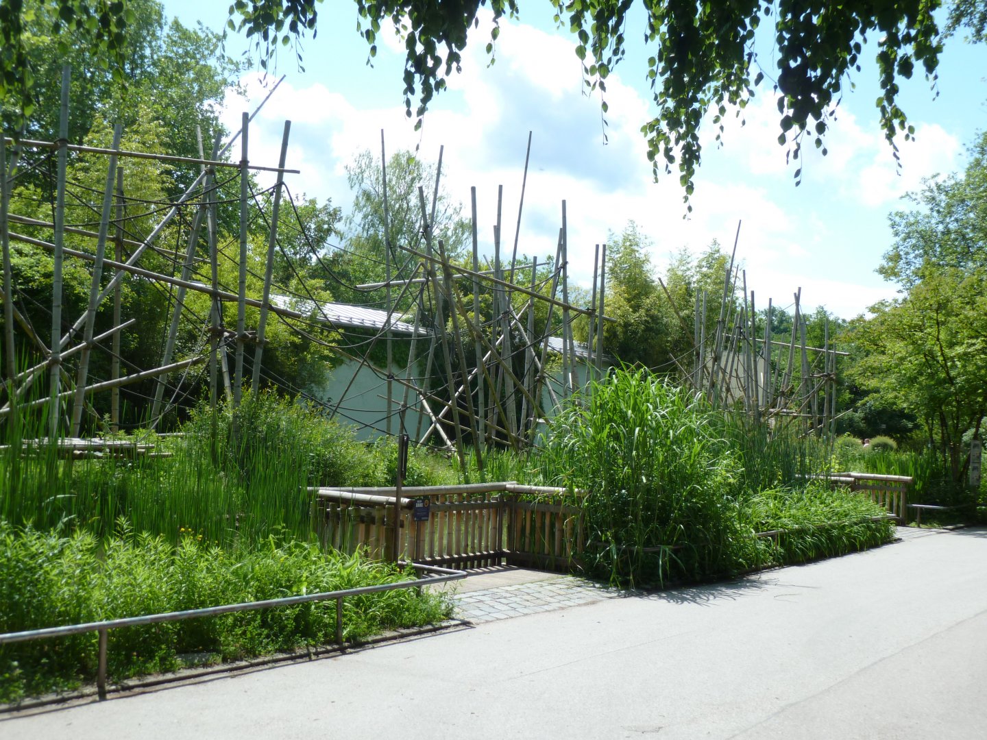 Silvery gibbon enclosure