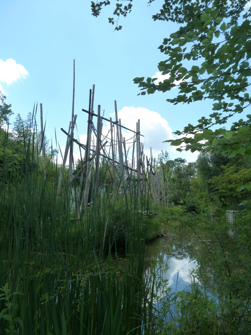 Silvery gibbon enclosure