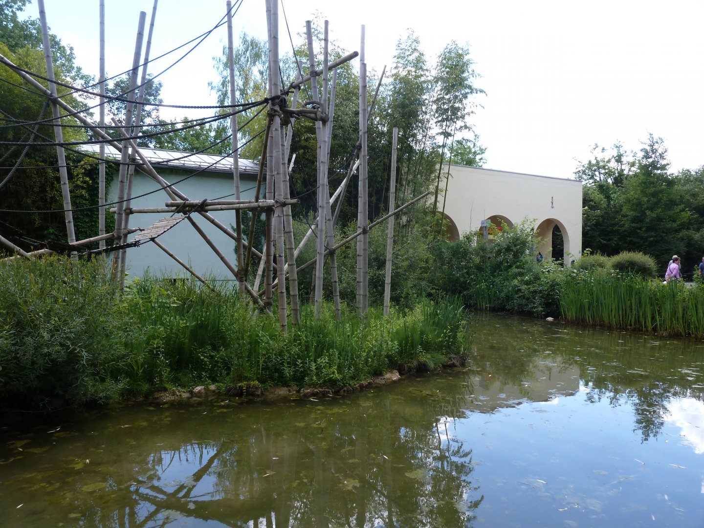 Silvery gibbon enclosure
