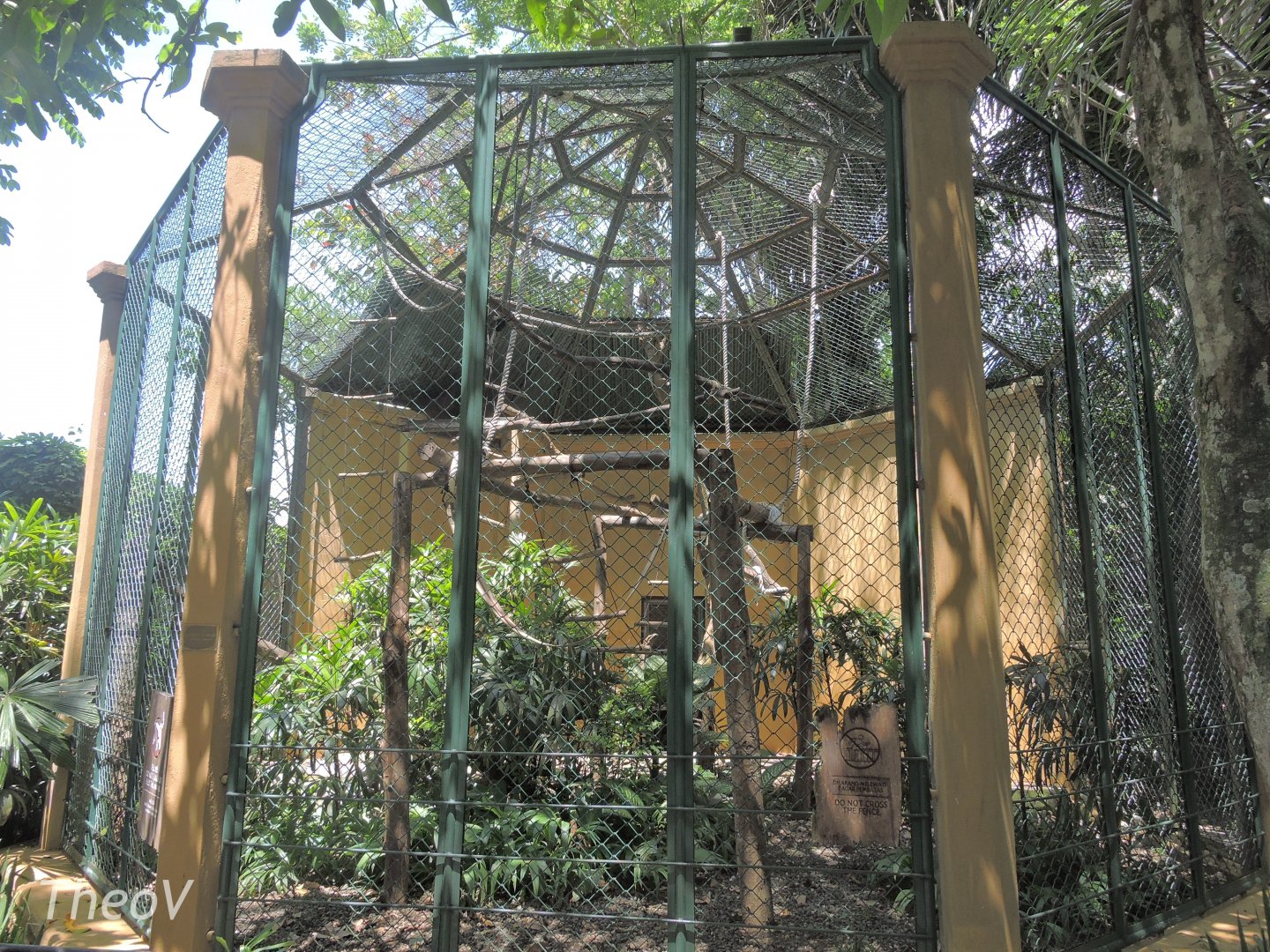 Silvery gibbon exhibit [2016]