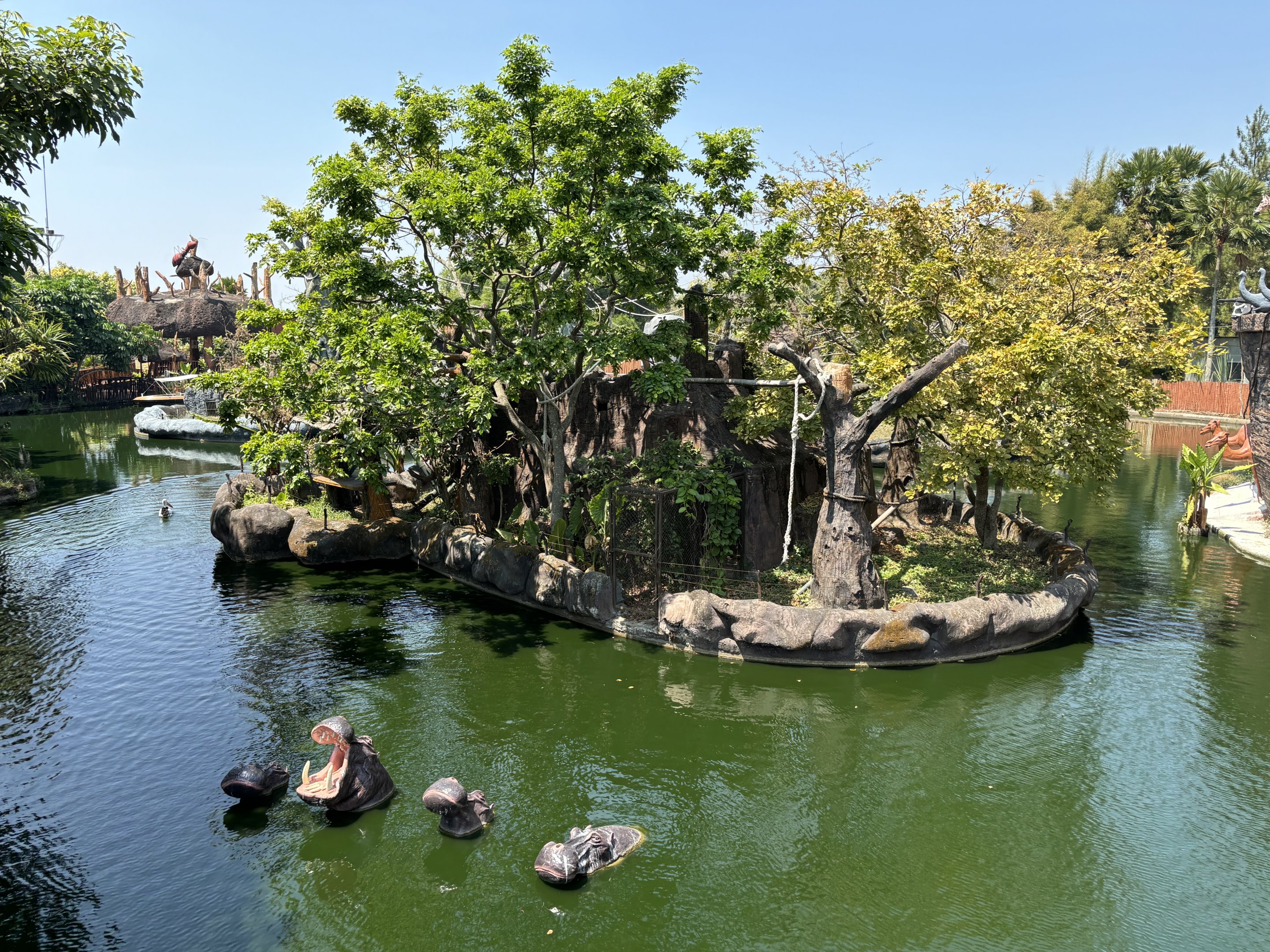Silvery Gibbon Exhibit